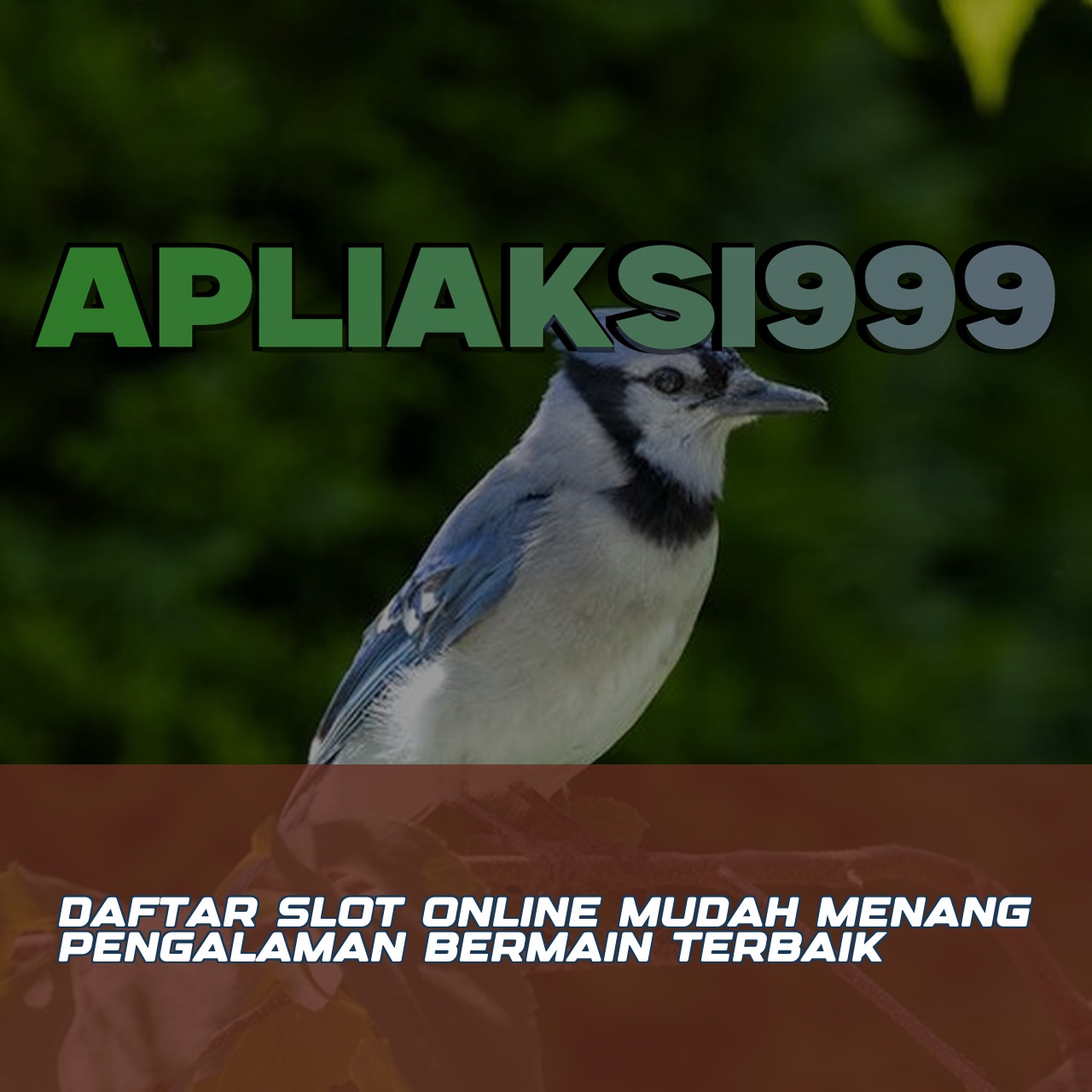APLIAKSI999