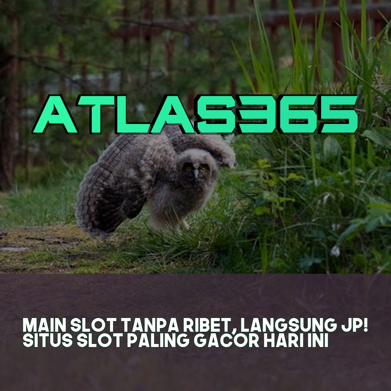 ATLAS365