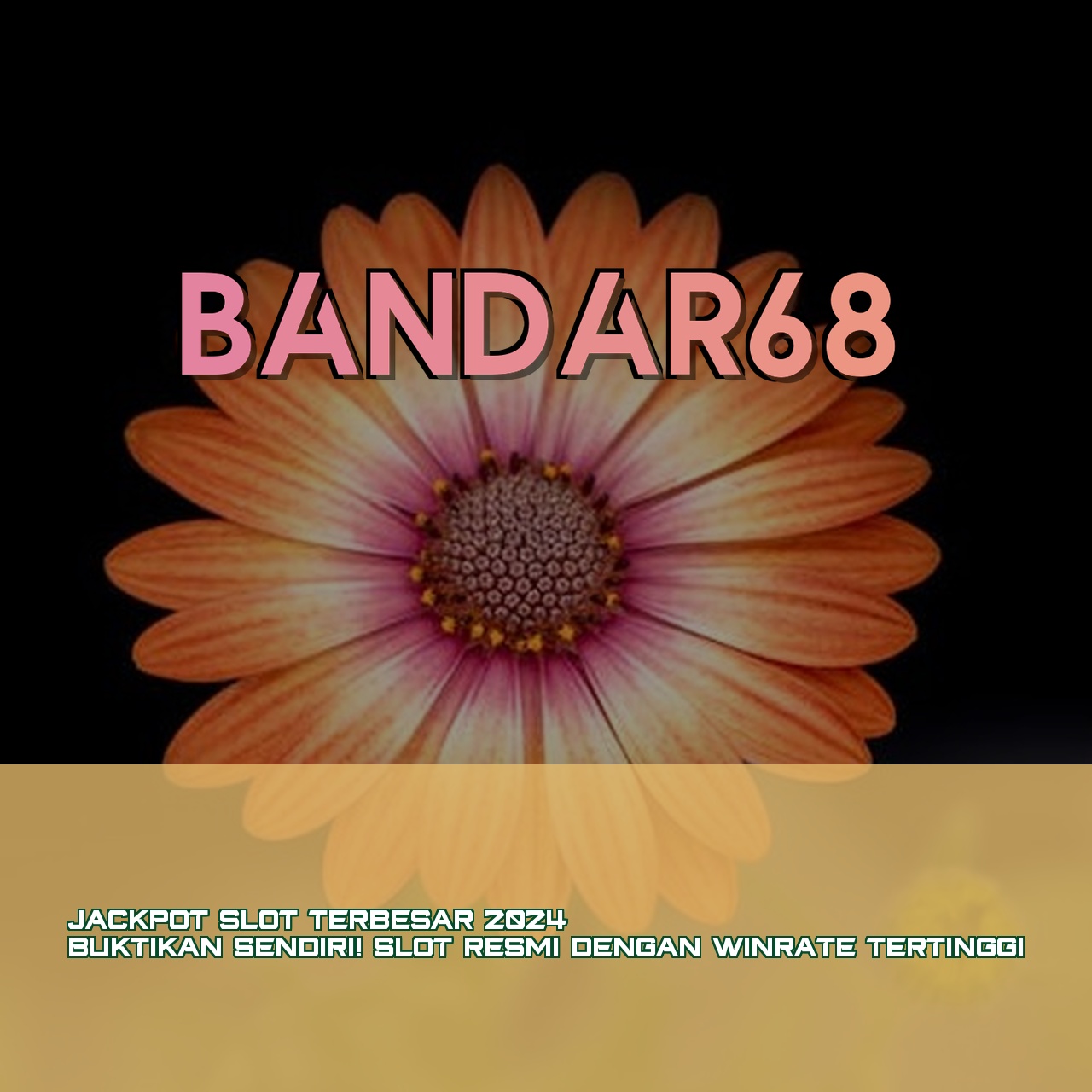 BANDAR68