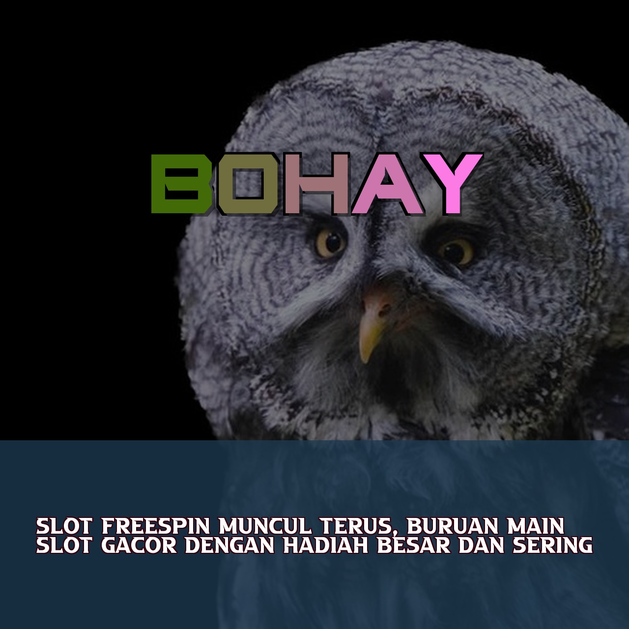 BOHAY