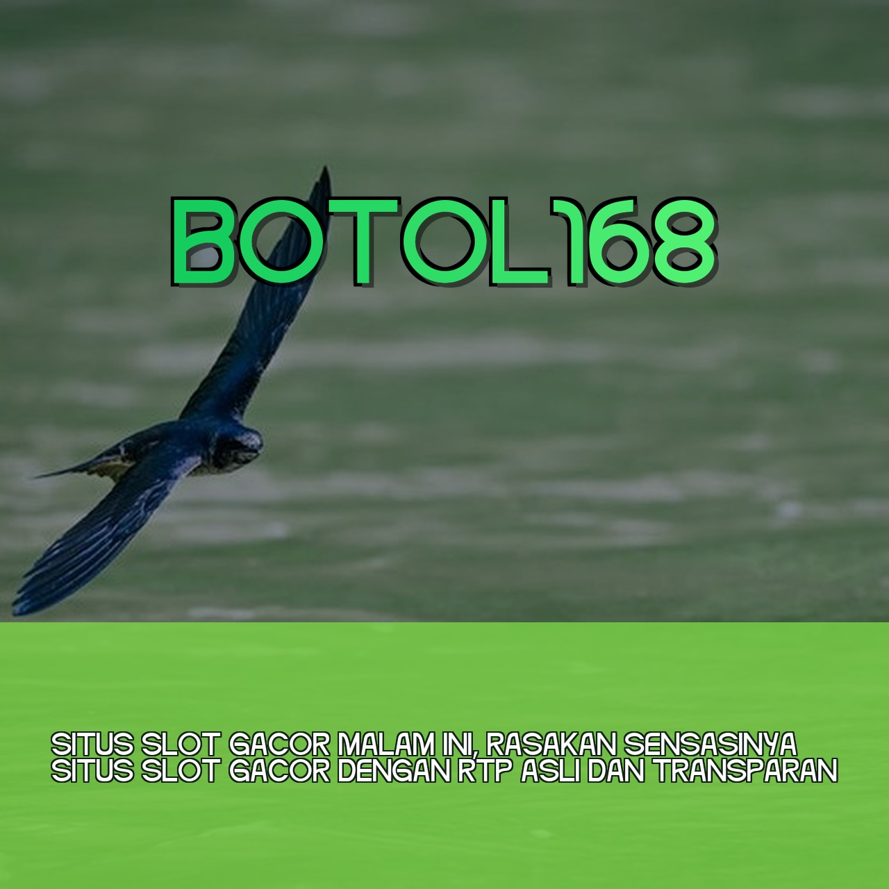 BOTOL168