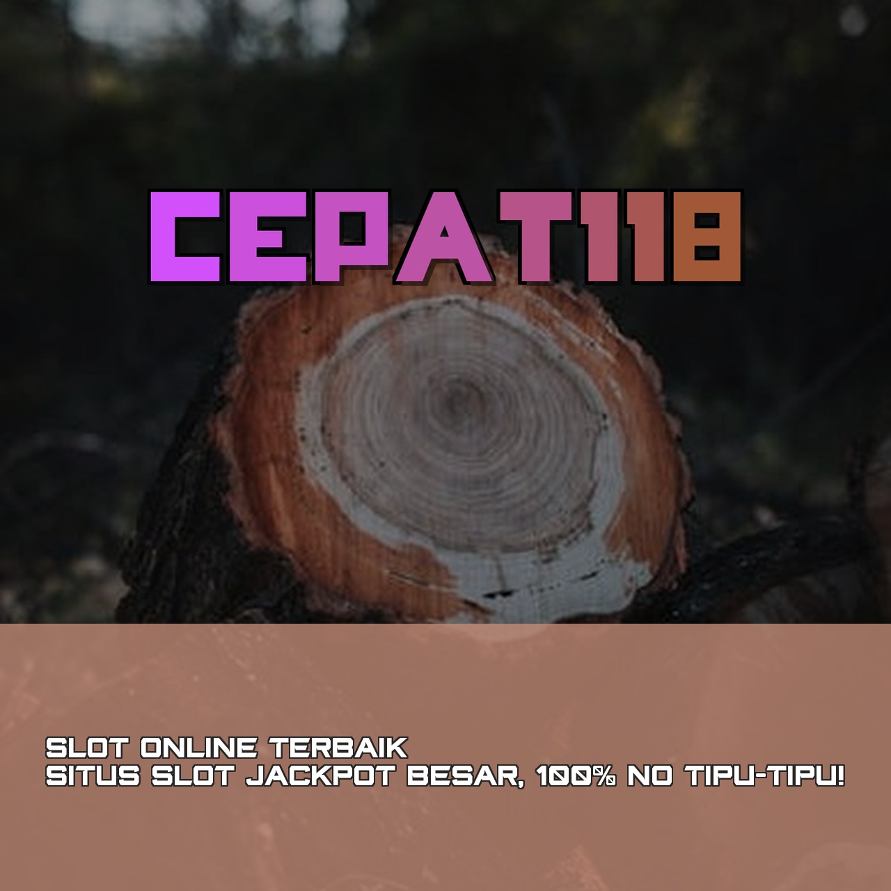 CEPAT118