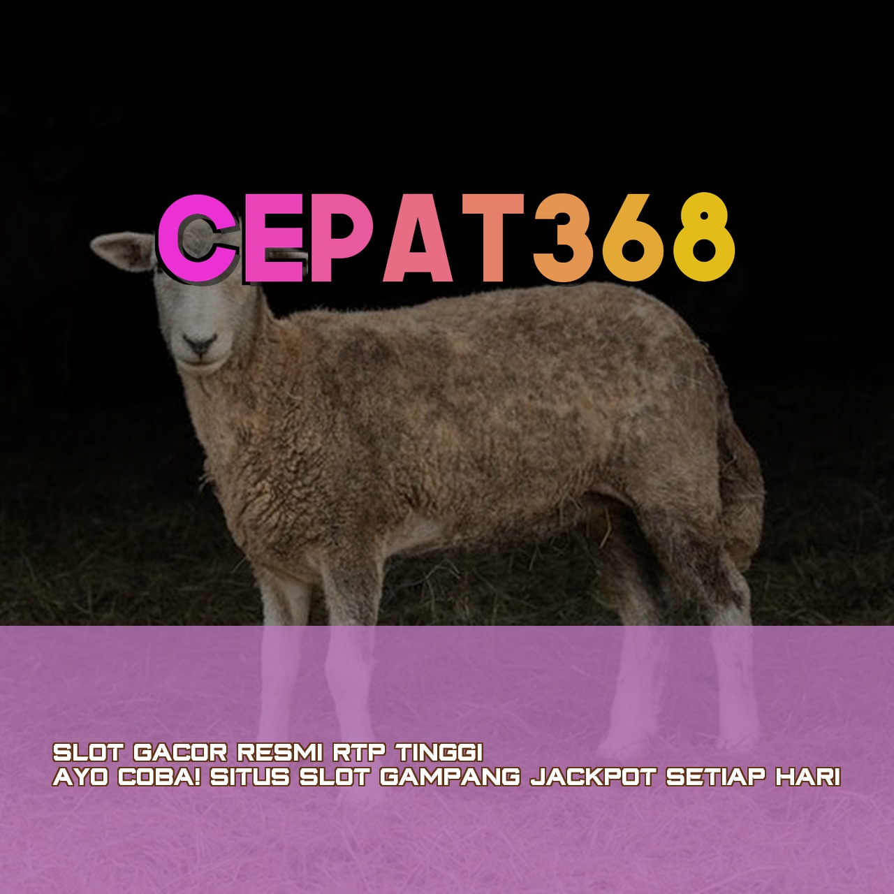 CEPAT368