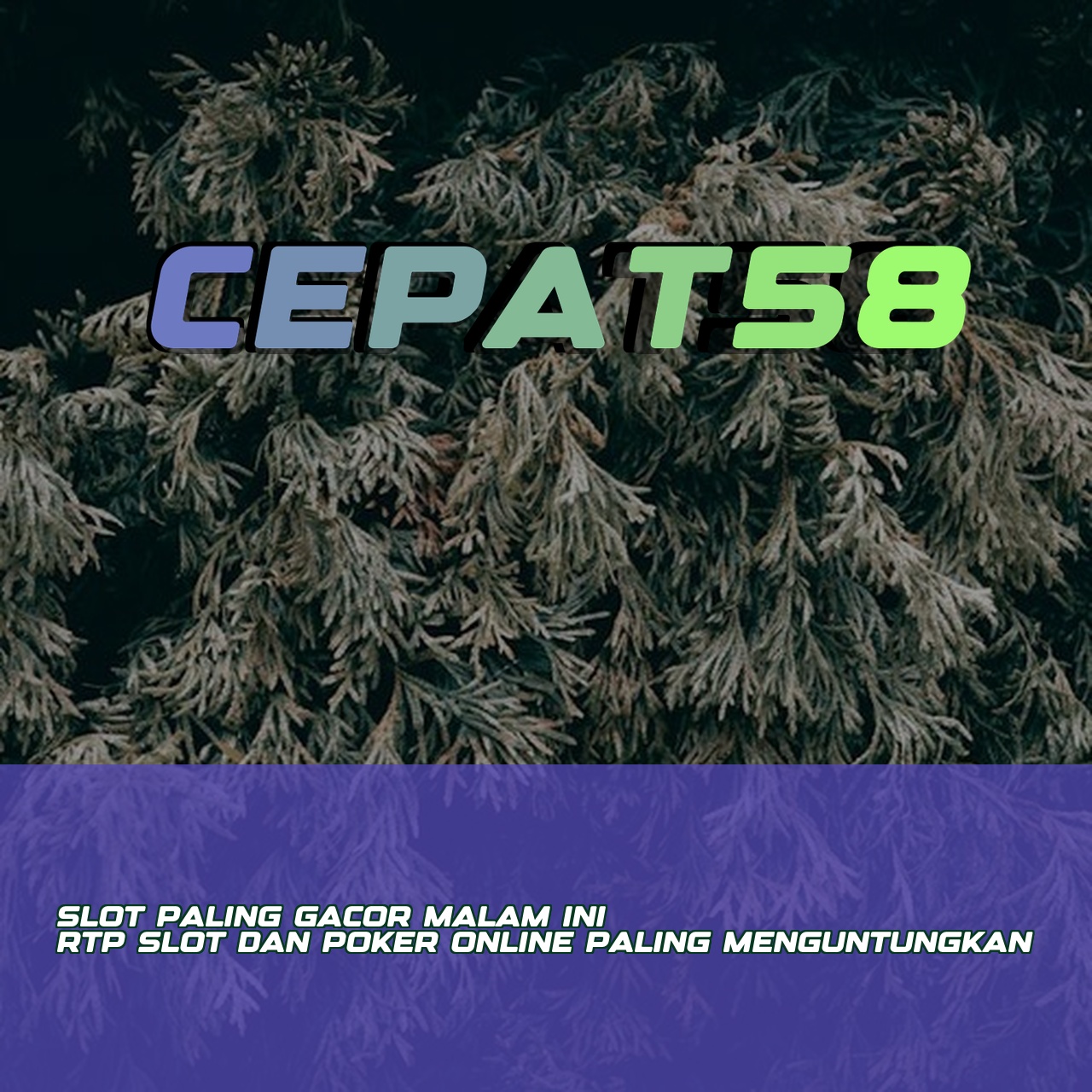 CEPAT58