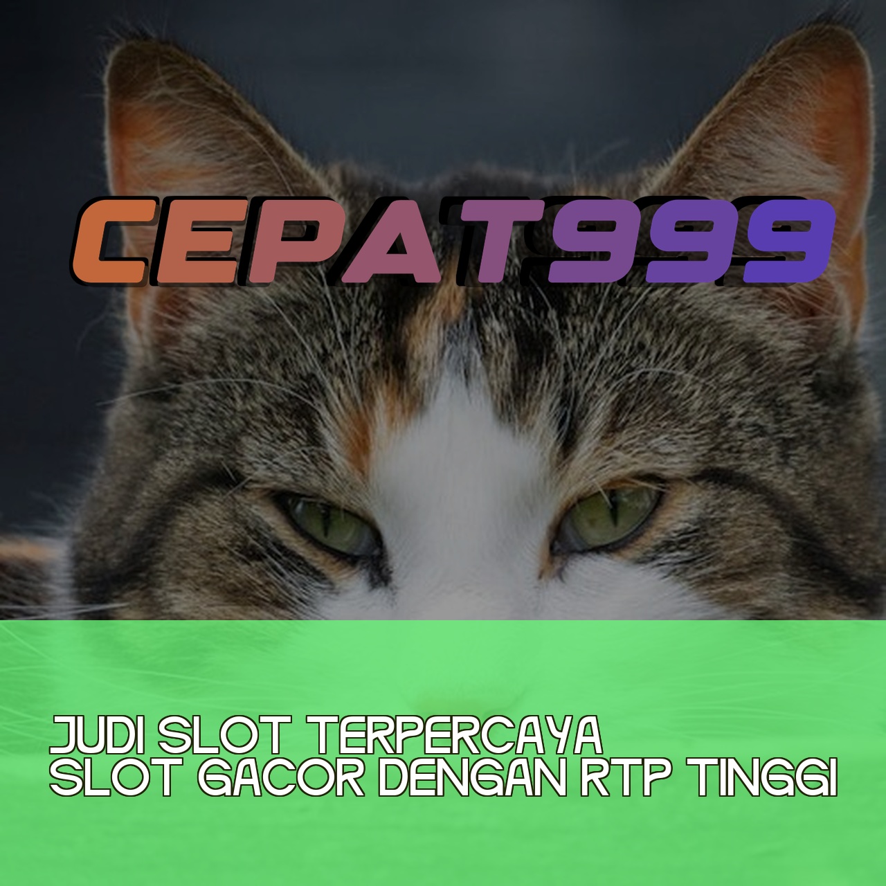 CEPAT999