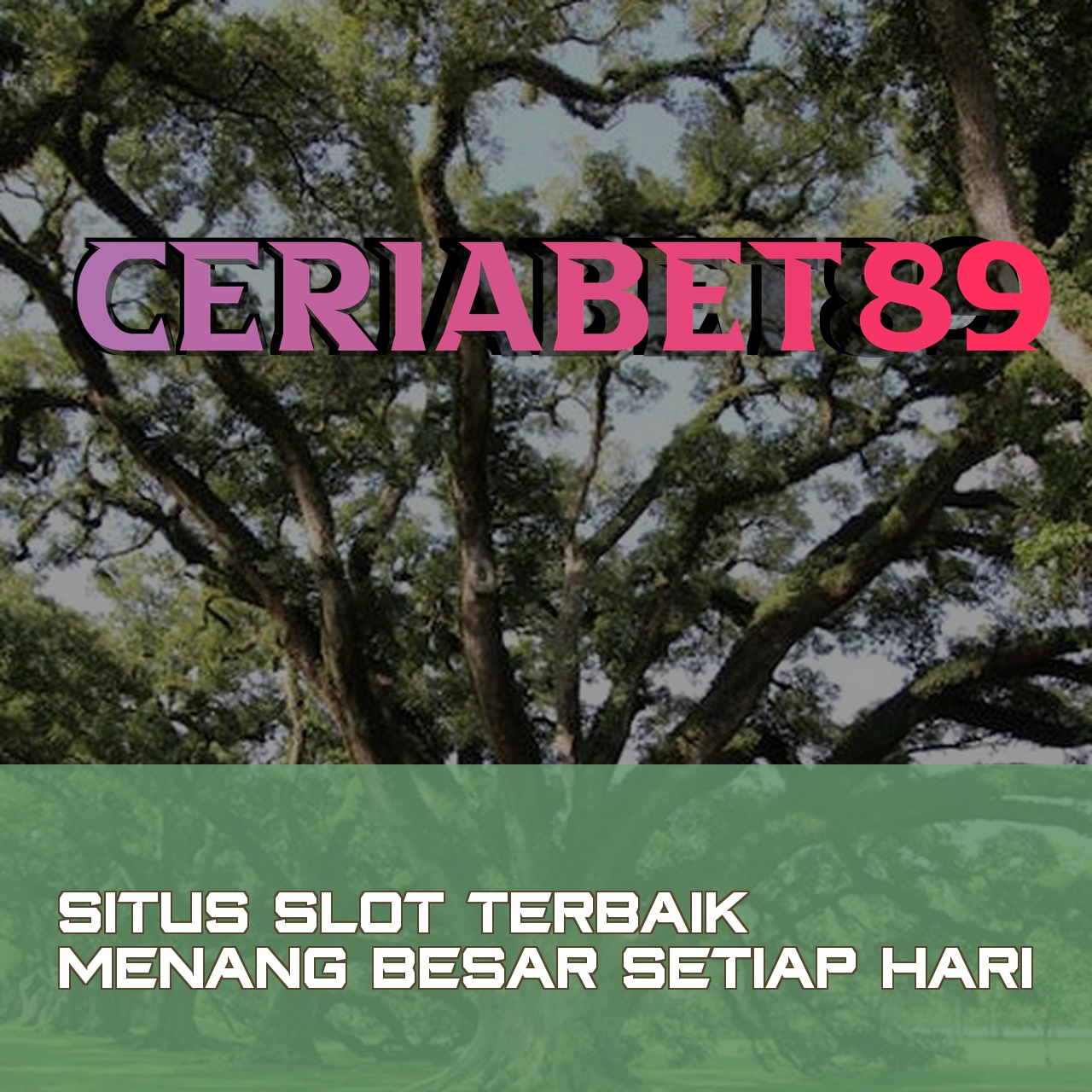 CERIABET89