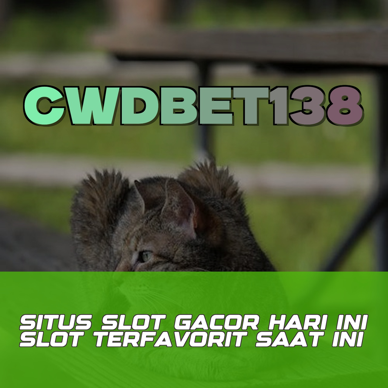 CWDBET138