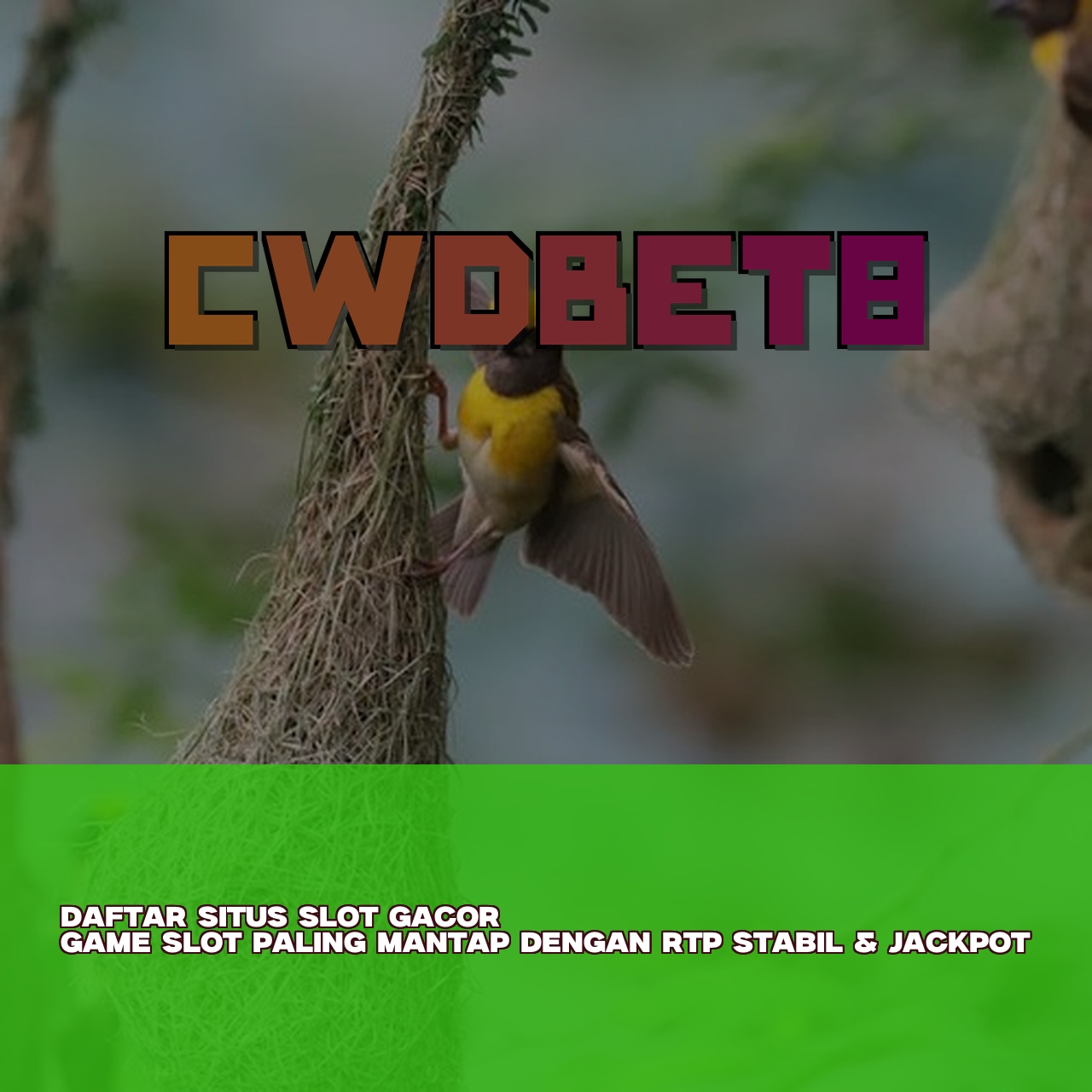 CWDBET8