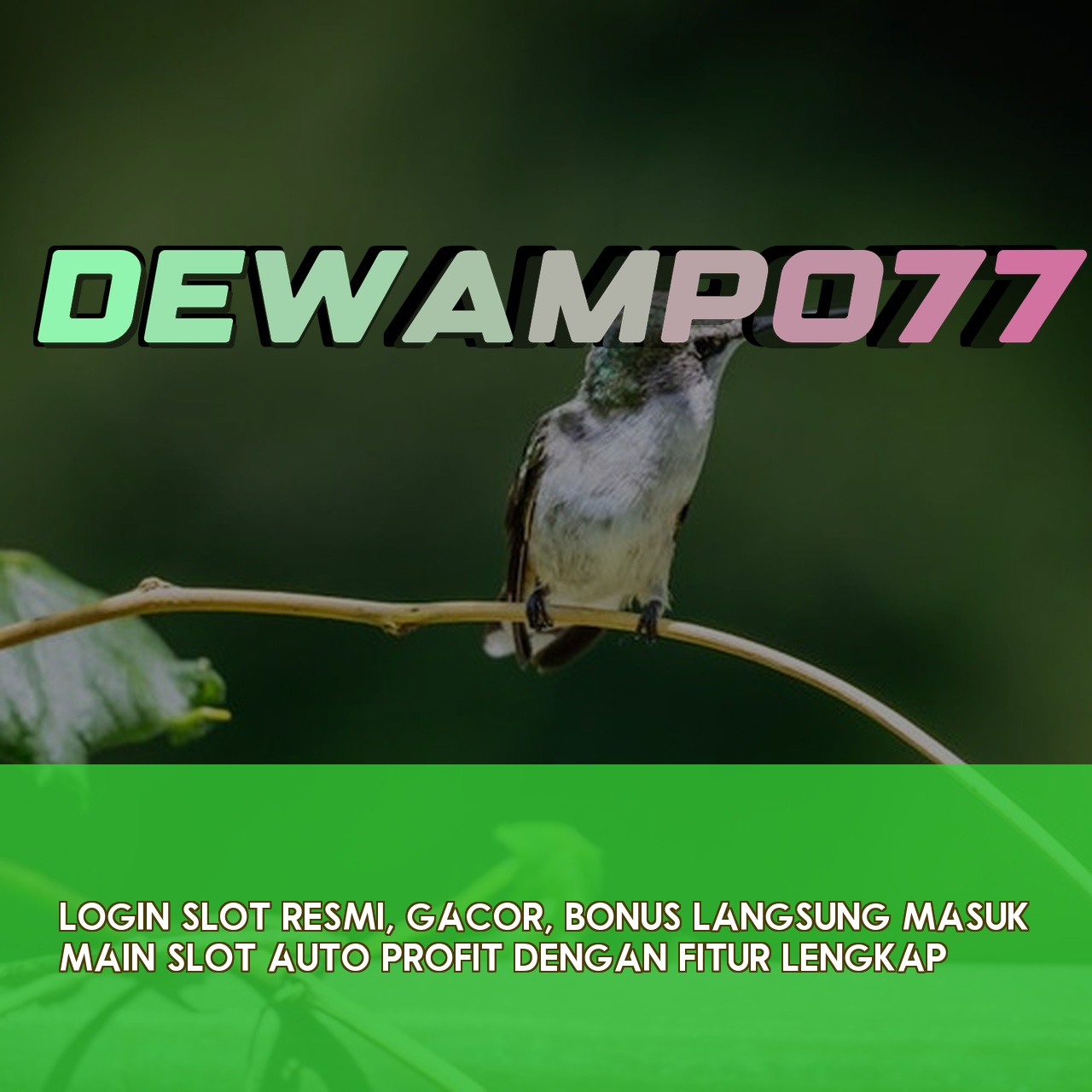 DEWAMPO77