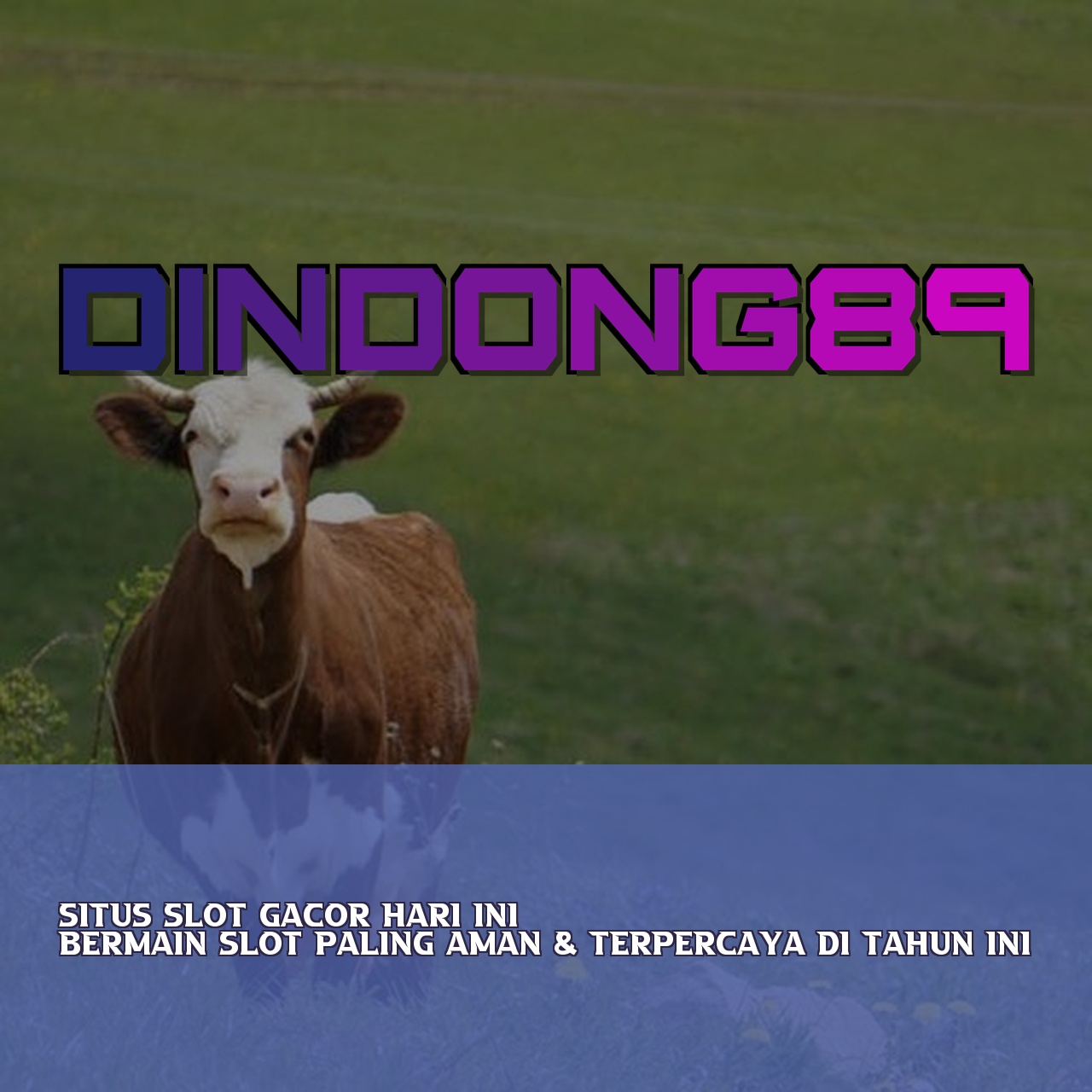 DINDONG89