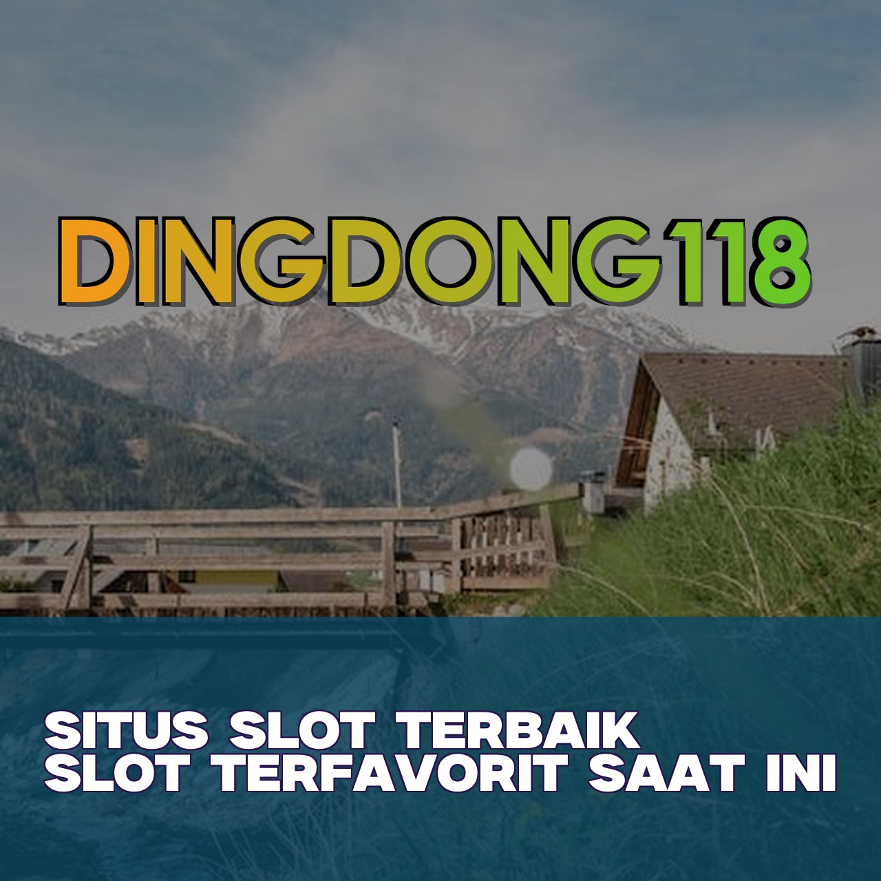 DINGDONG118