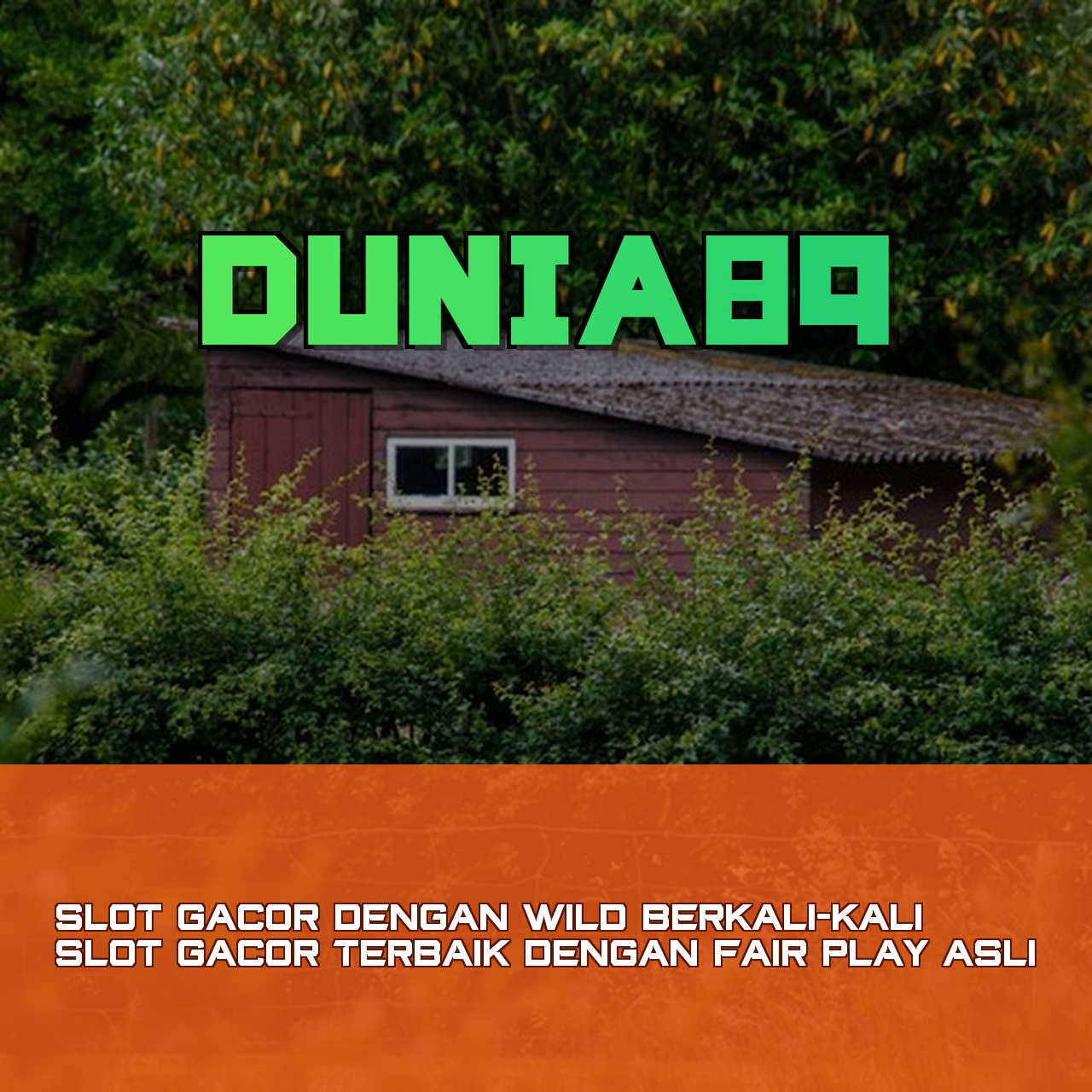 DUNIA89
