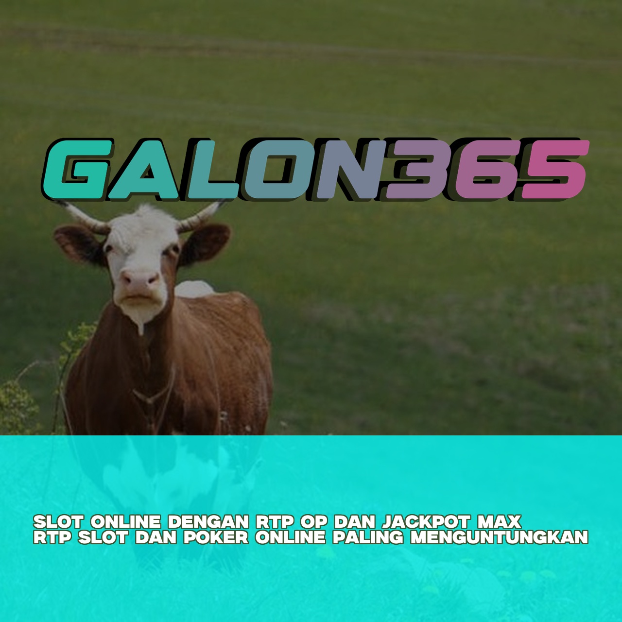 GALON365