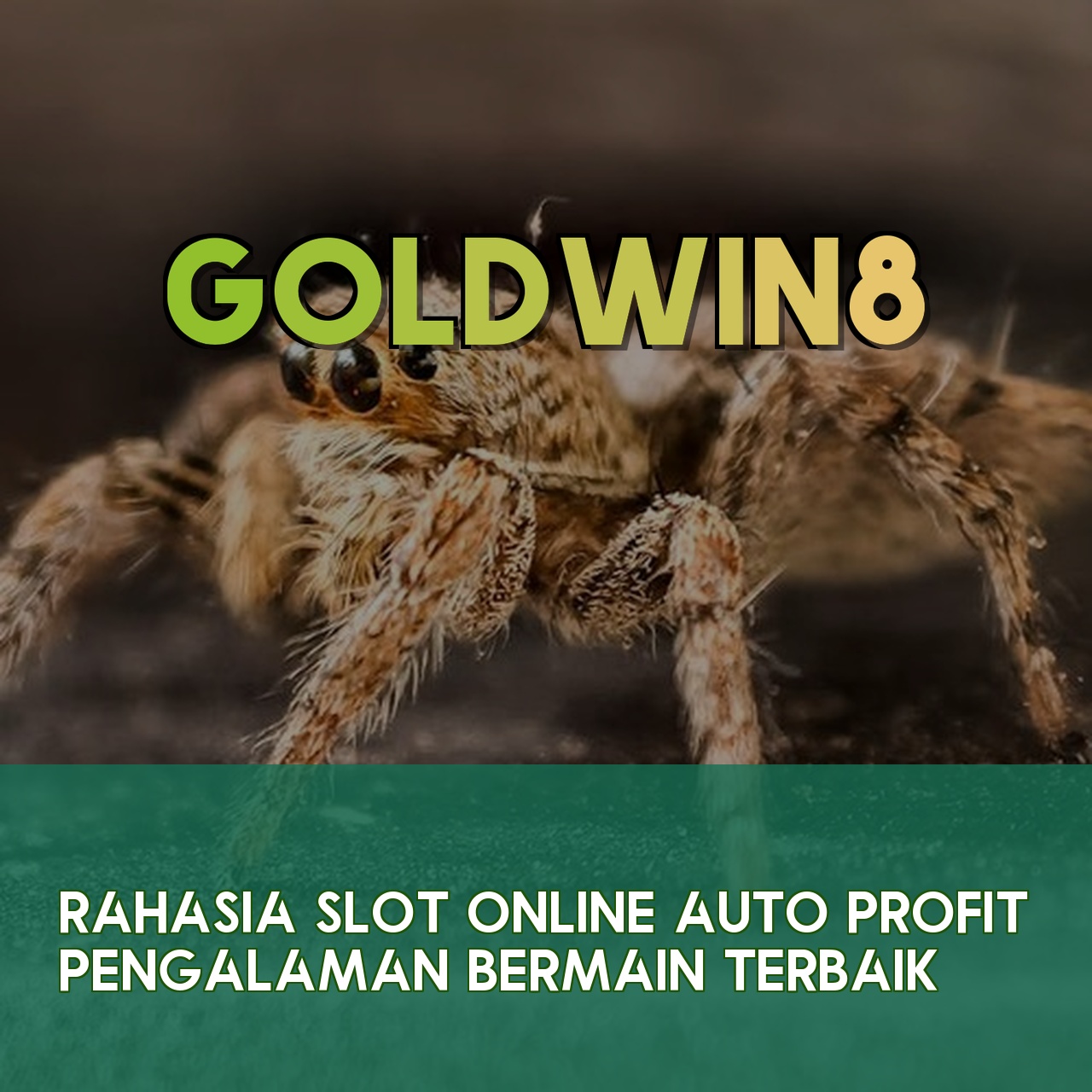 GOLDWIN8