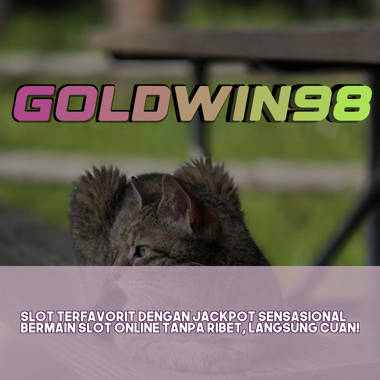 GOLDWIN98
