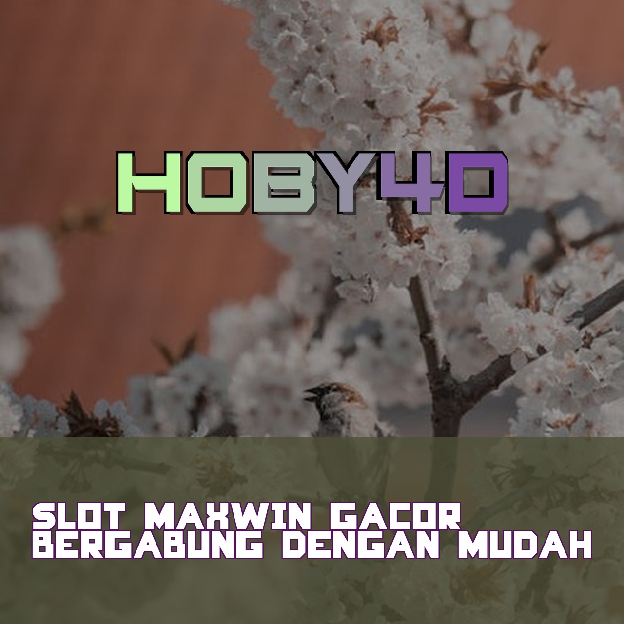 HOBY4D