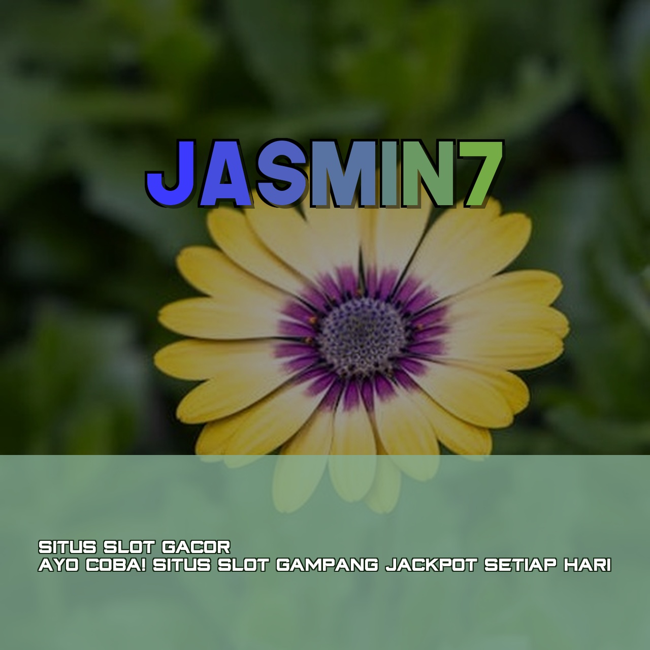JASMIN7