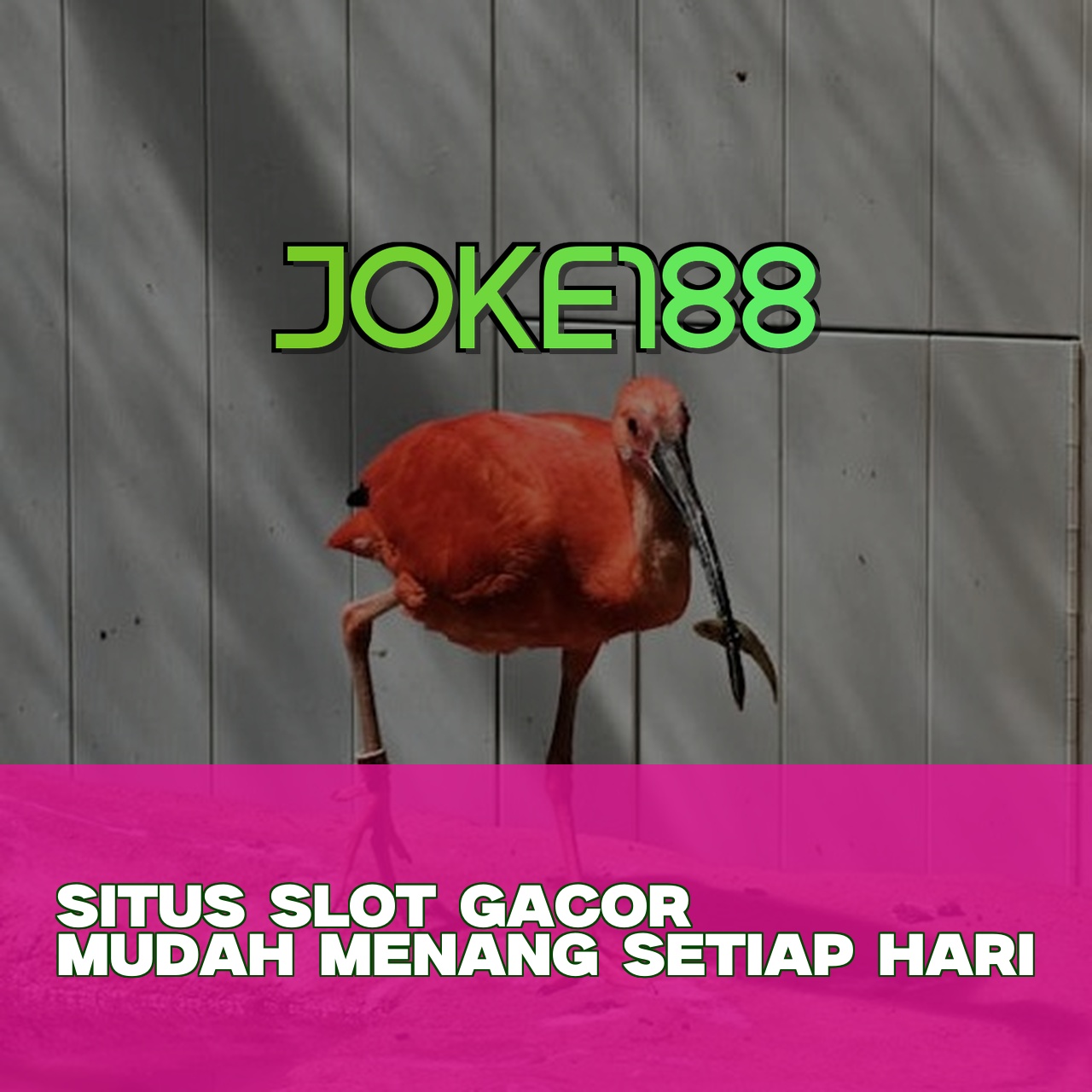 JOKE188