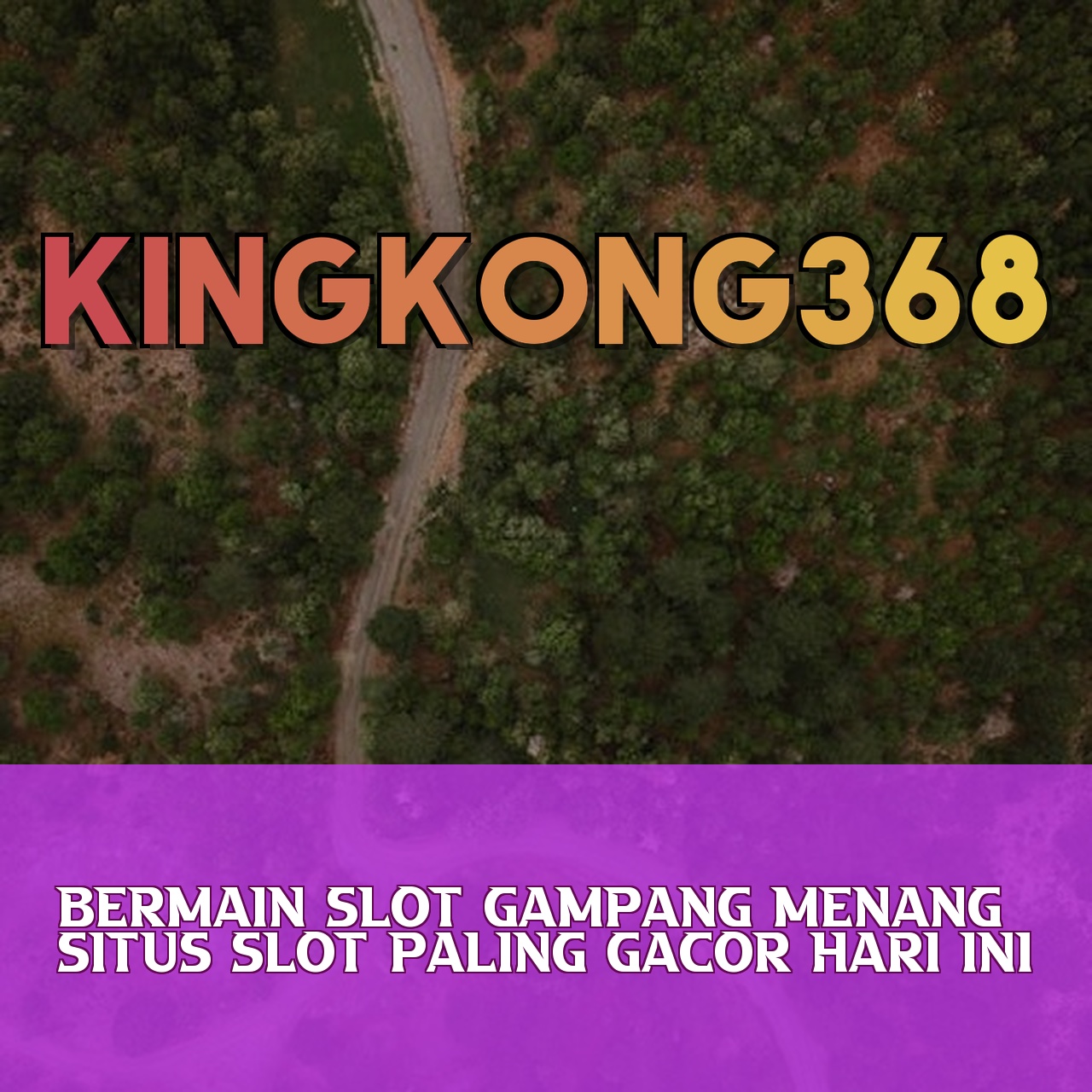 KINGKONG368