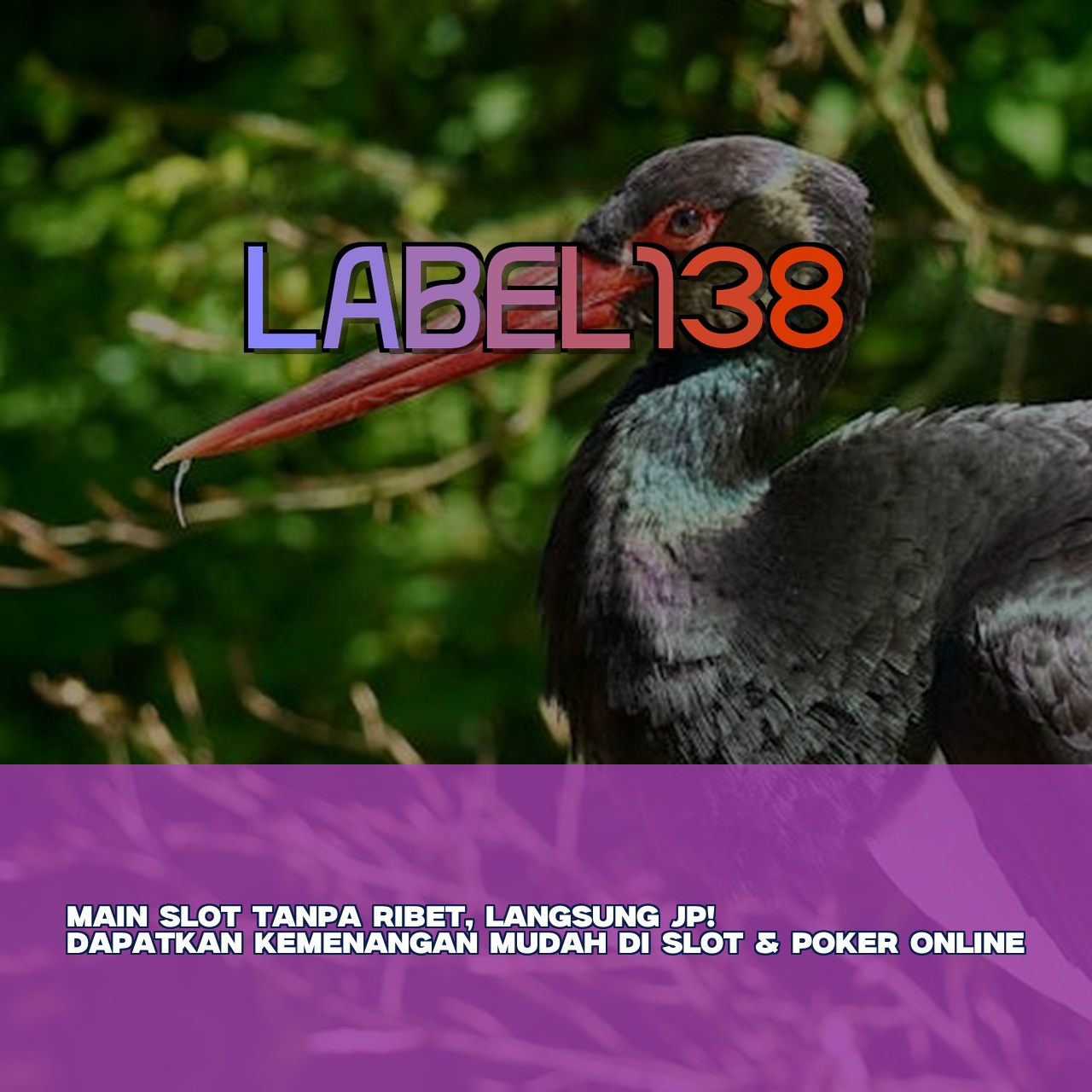 LABEL138