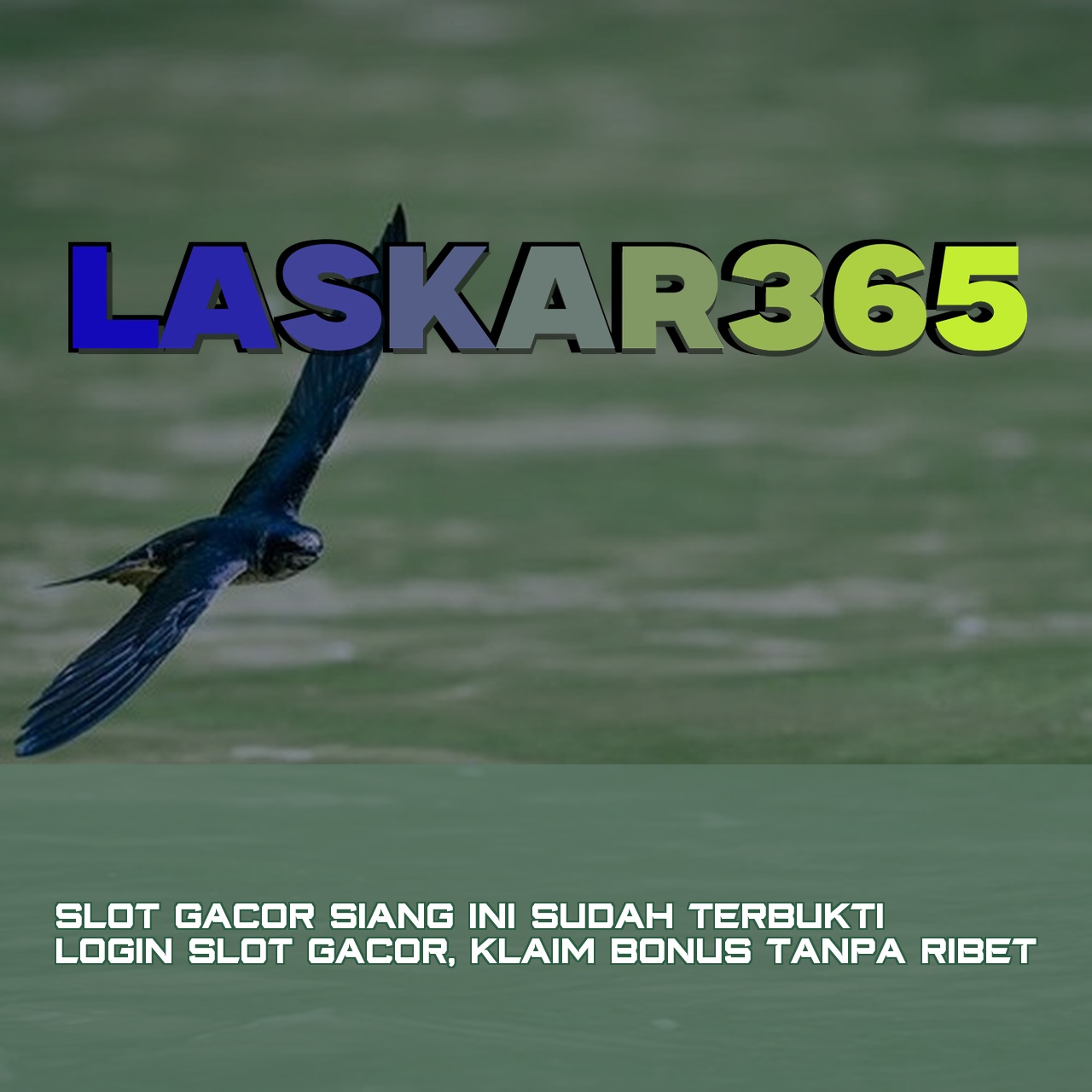 LASKAR365