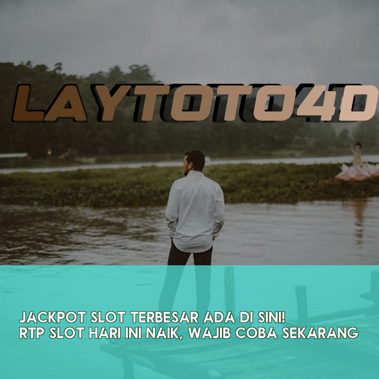 LAYTOTO4D