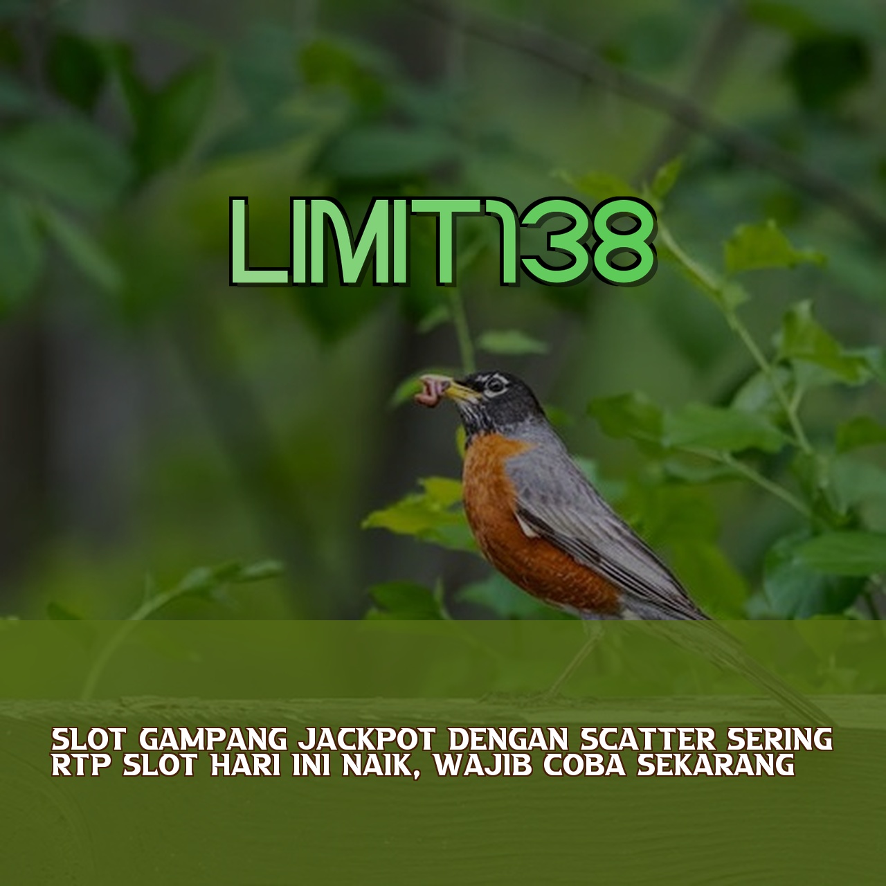 LIMIT138