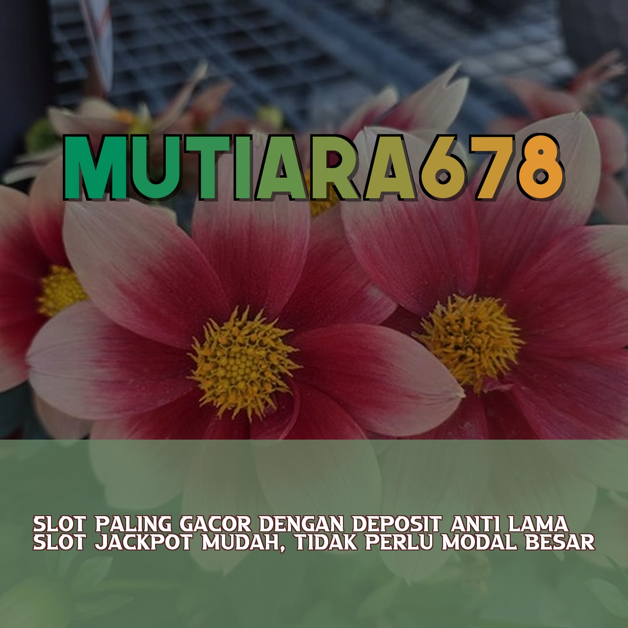 MUTIARA678