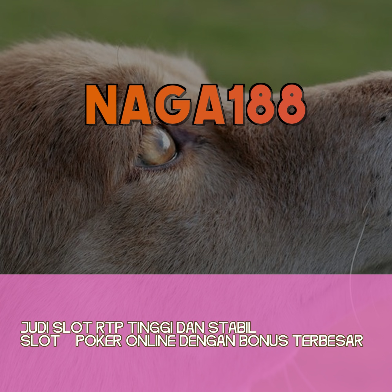 NAGA188
