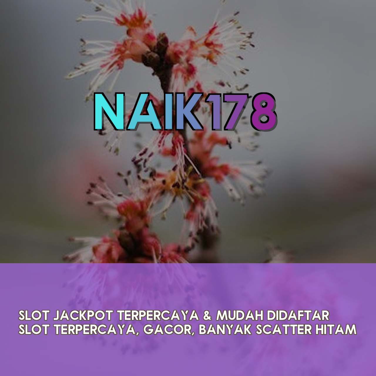 NAIK178
