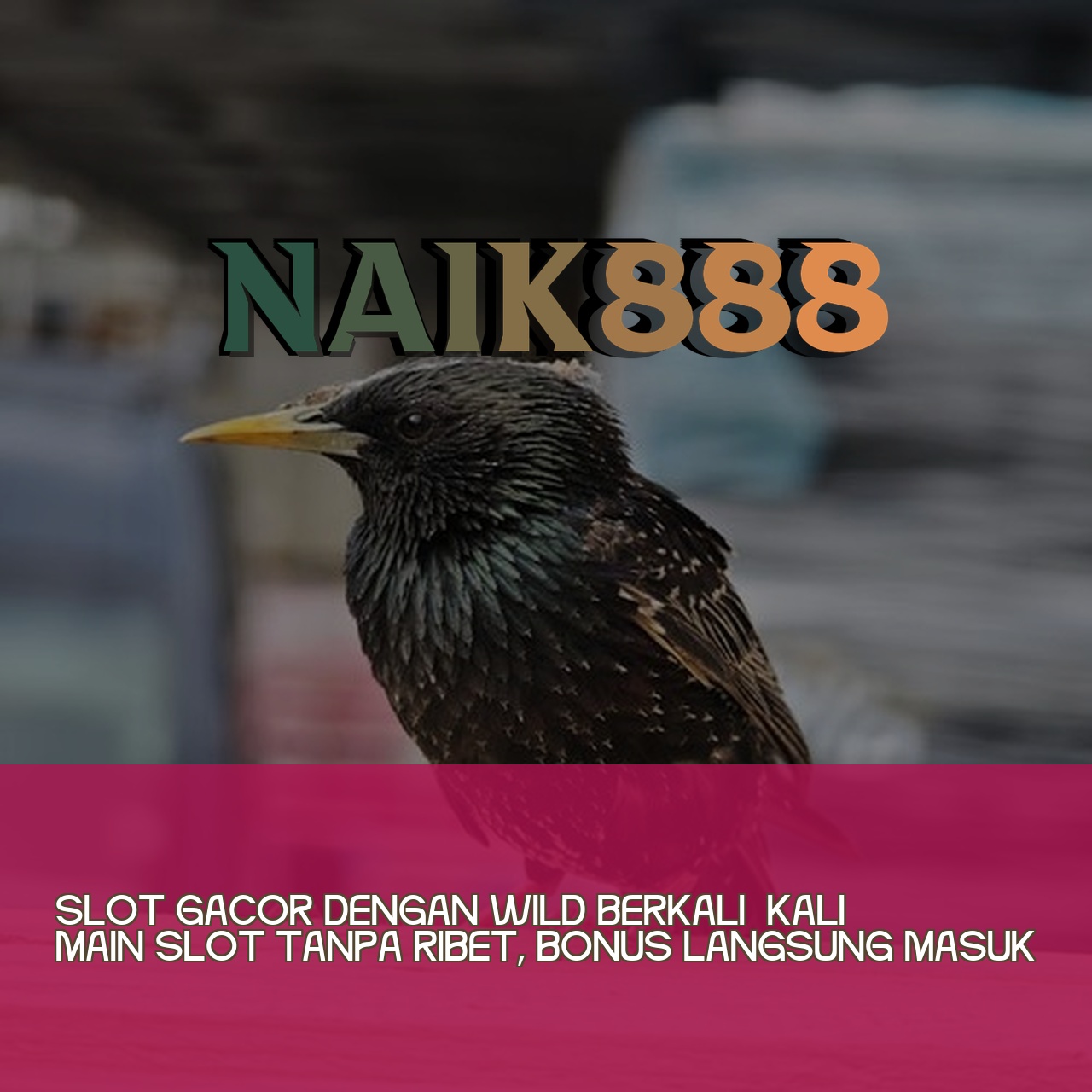 NAIK888