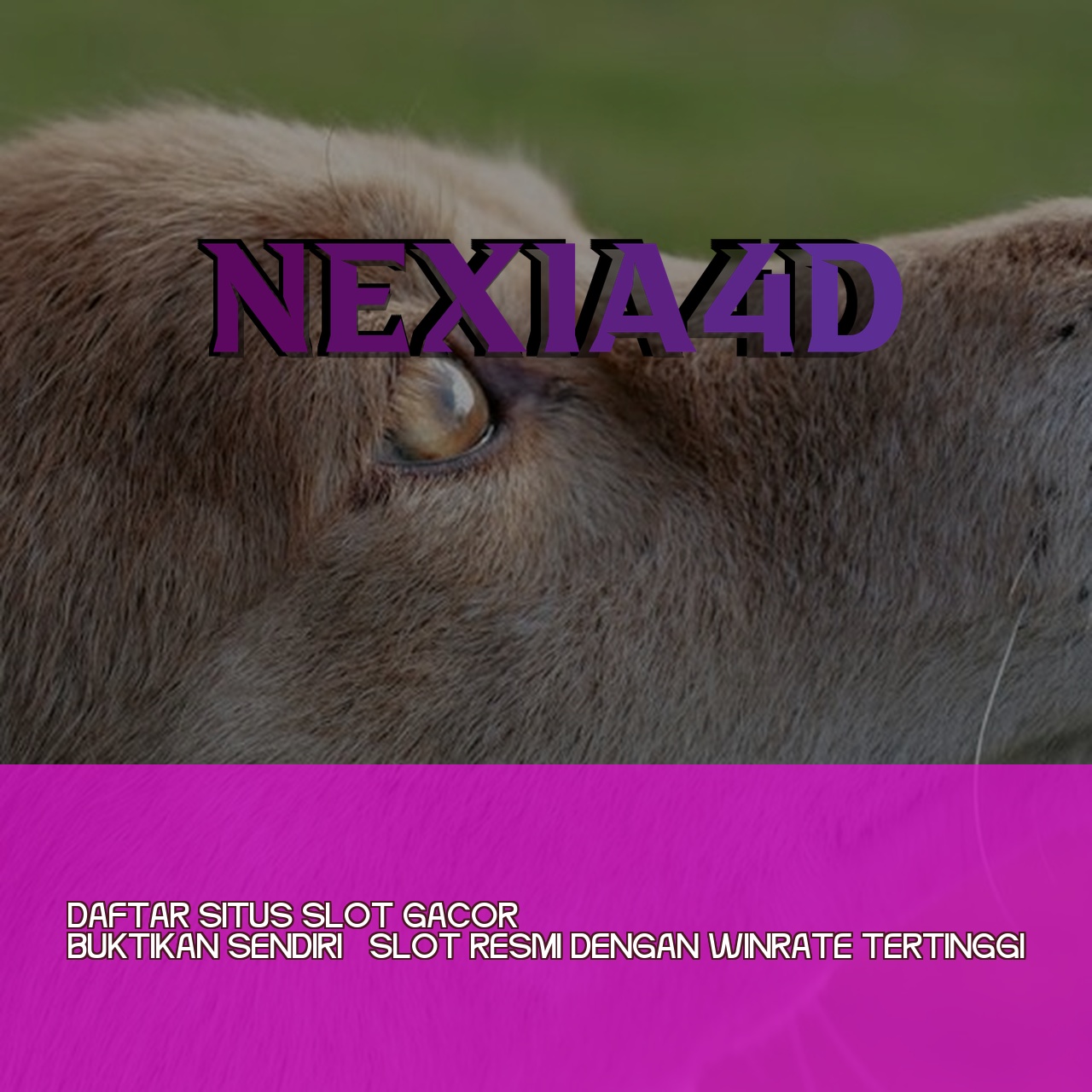 NEXIA4D