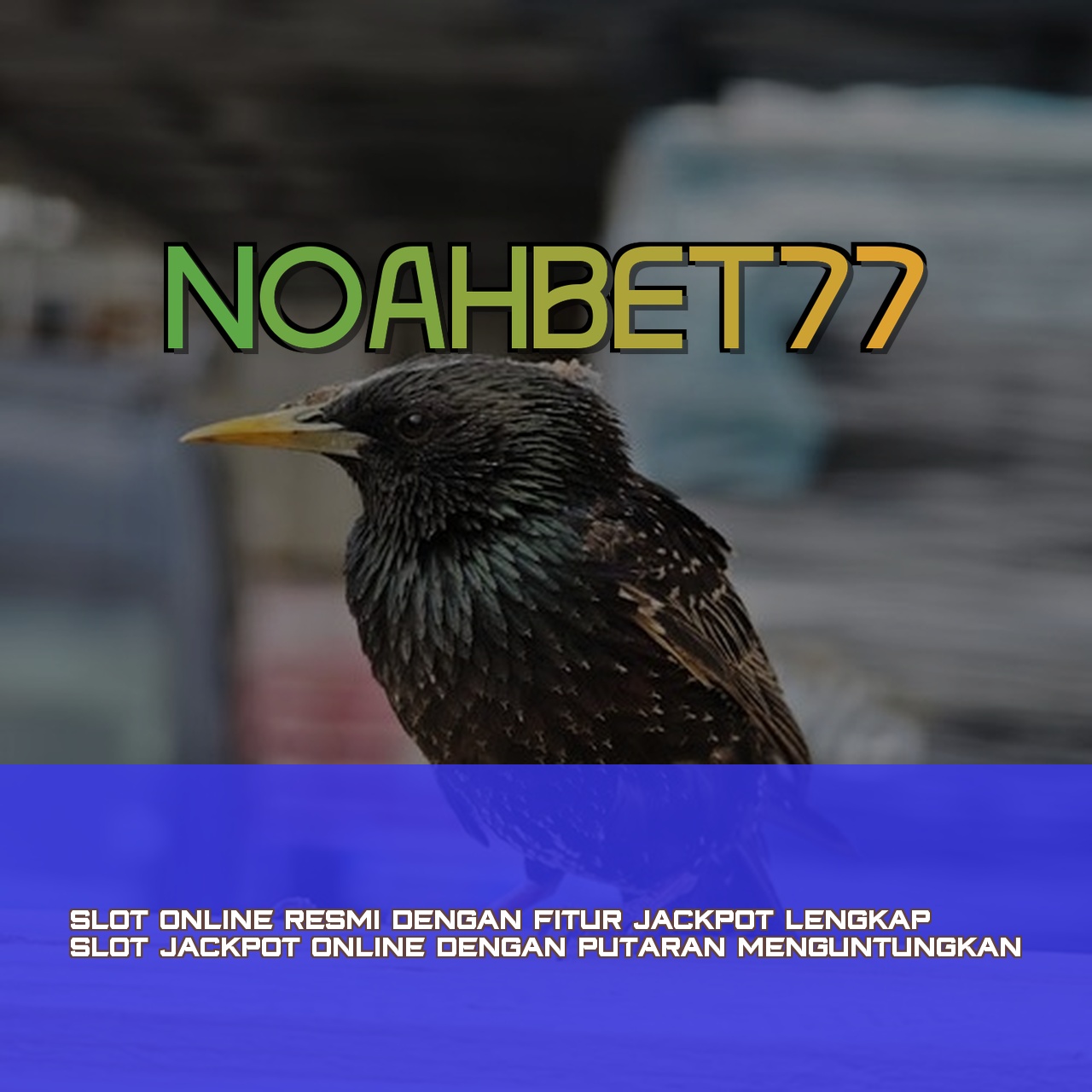 NOAHBET77