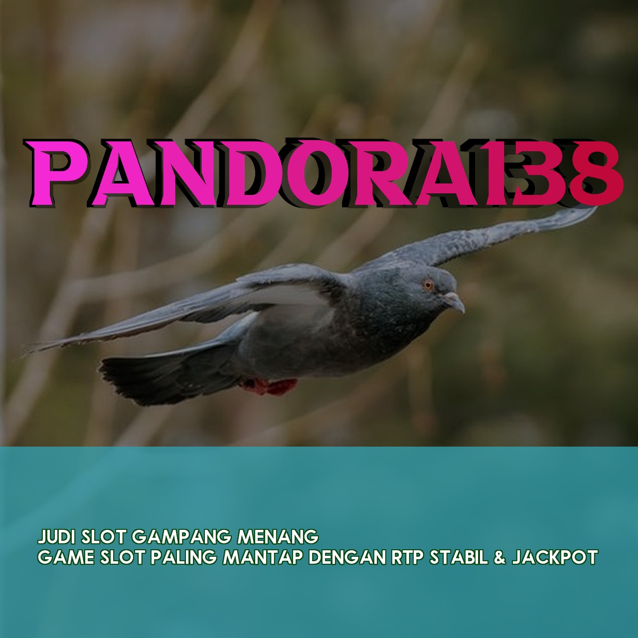 PANDORA138