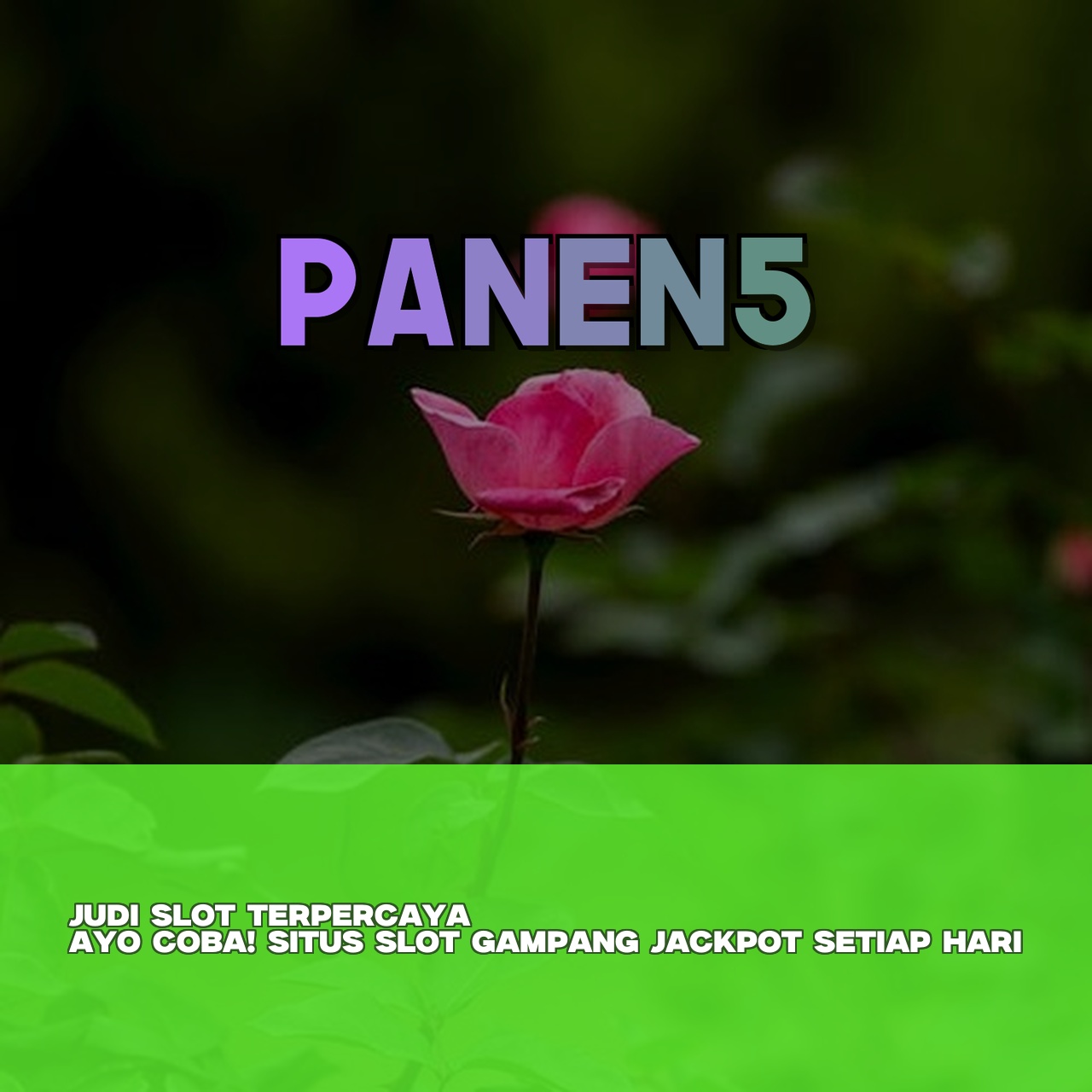 PANEN5