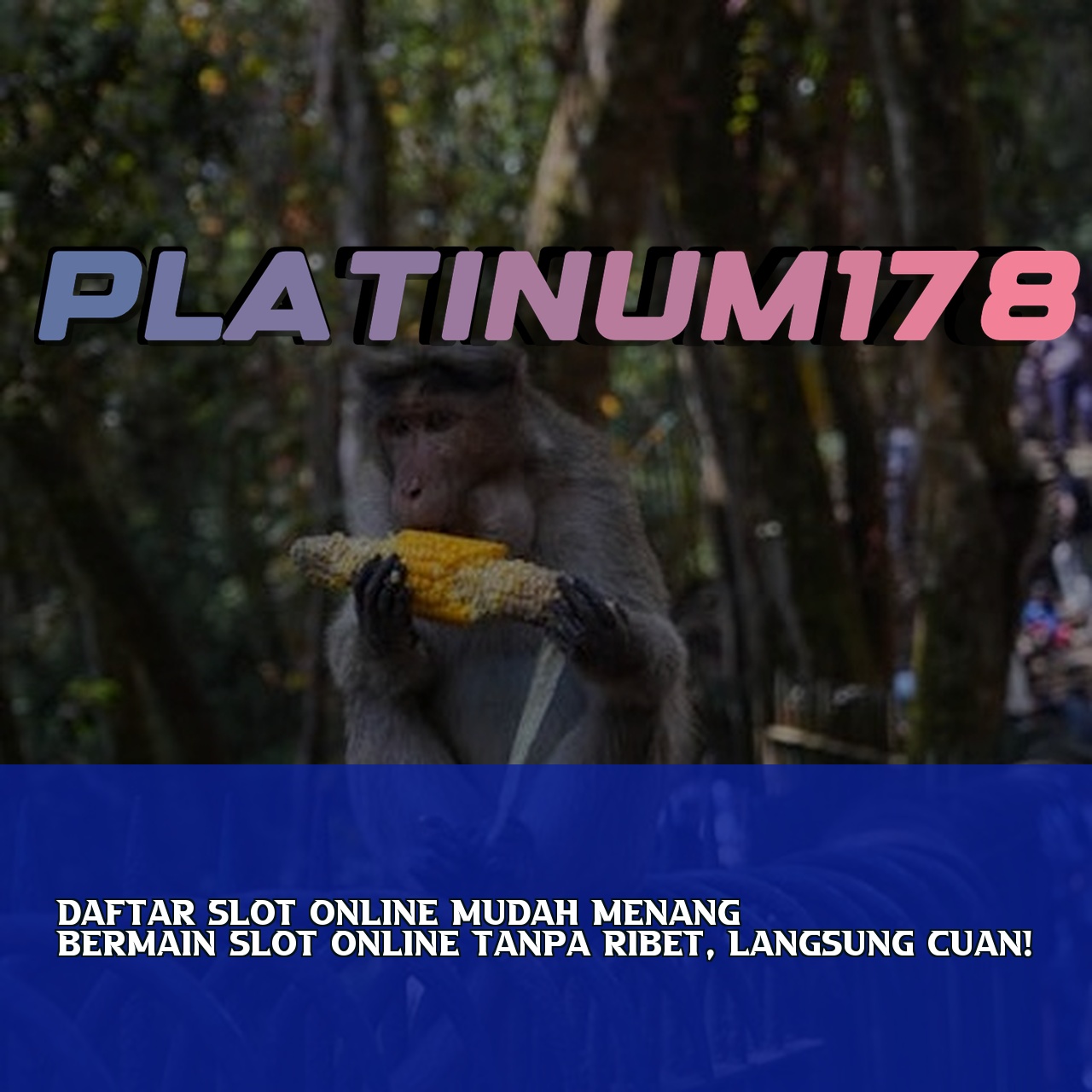 PLATINUM178