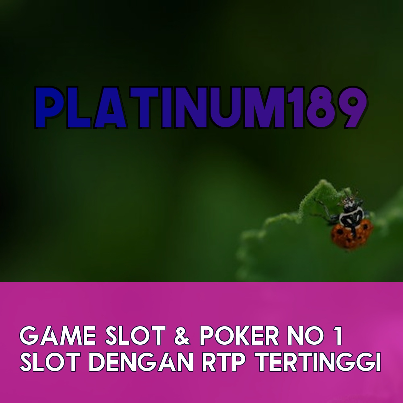 PLATINUM189