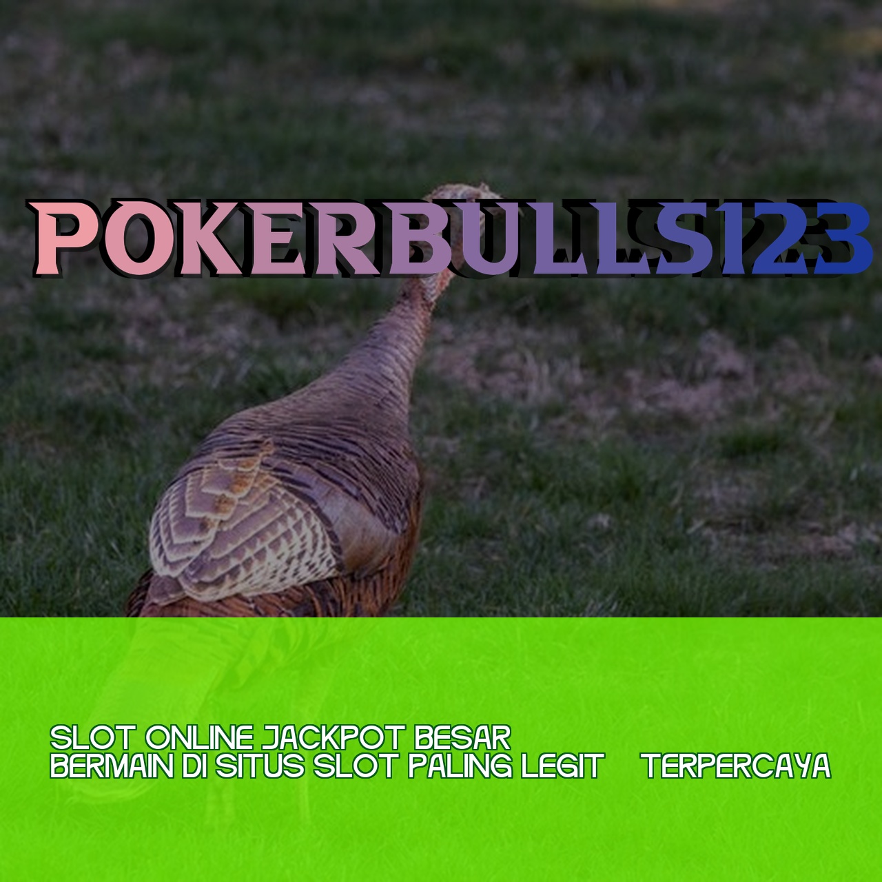 POKERBULLS123