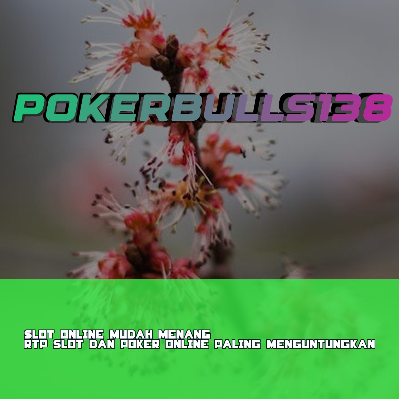 POKERBULLS138