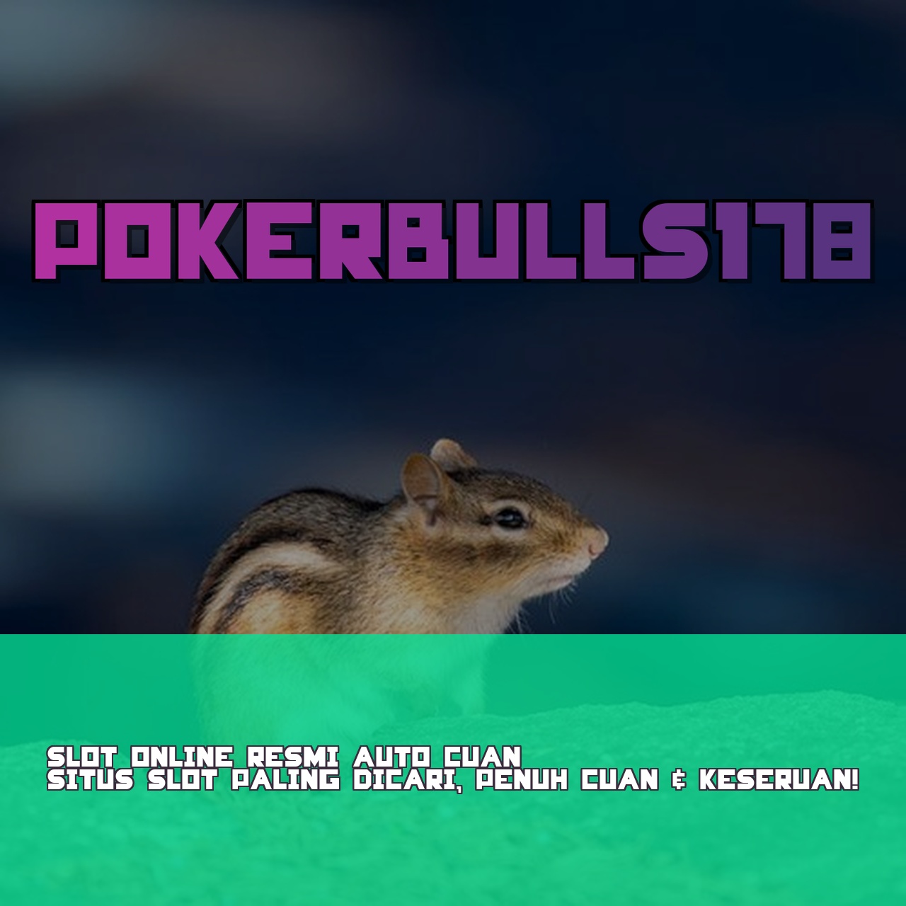 POKERBULLS178