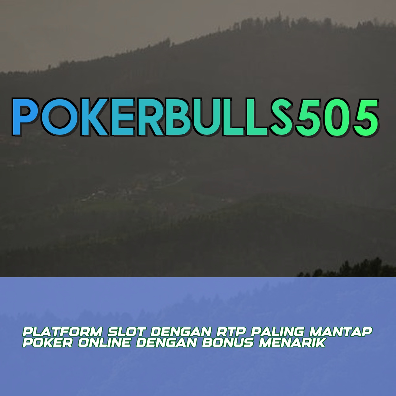 POKERBULLS505