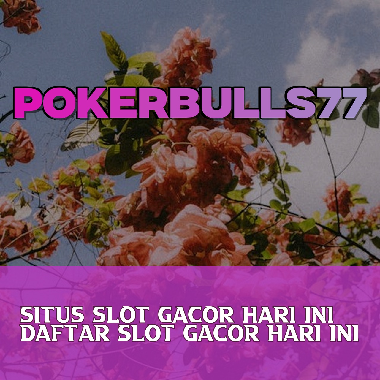 POKERBULLS77