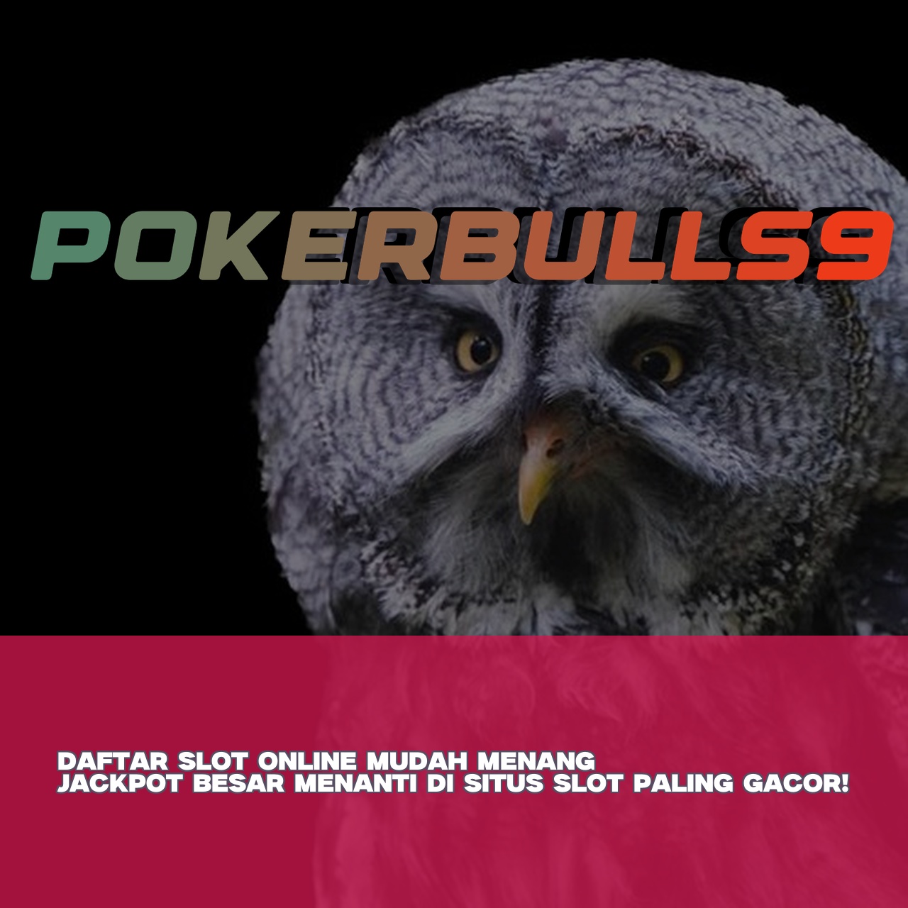 POKERBULLS9