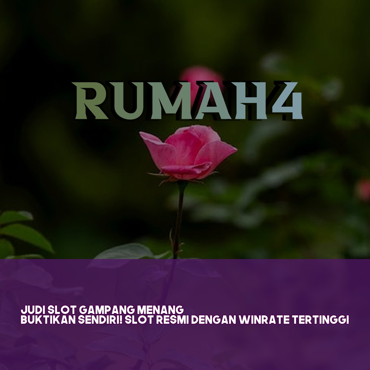 RUMAH4