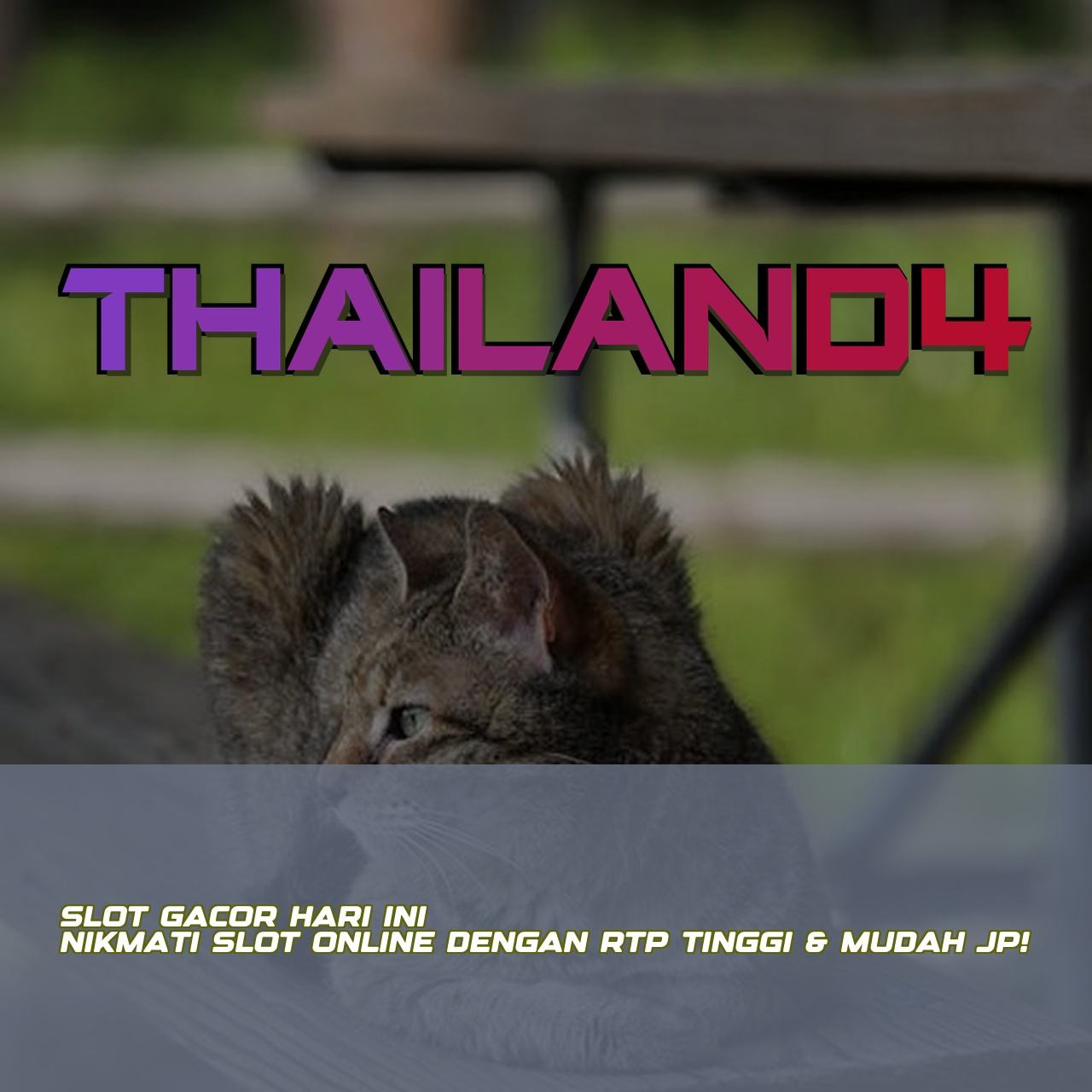 THAILAND4