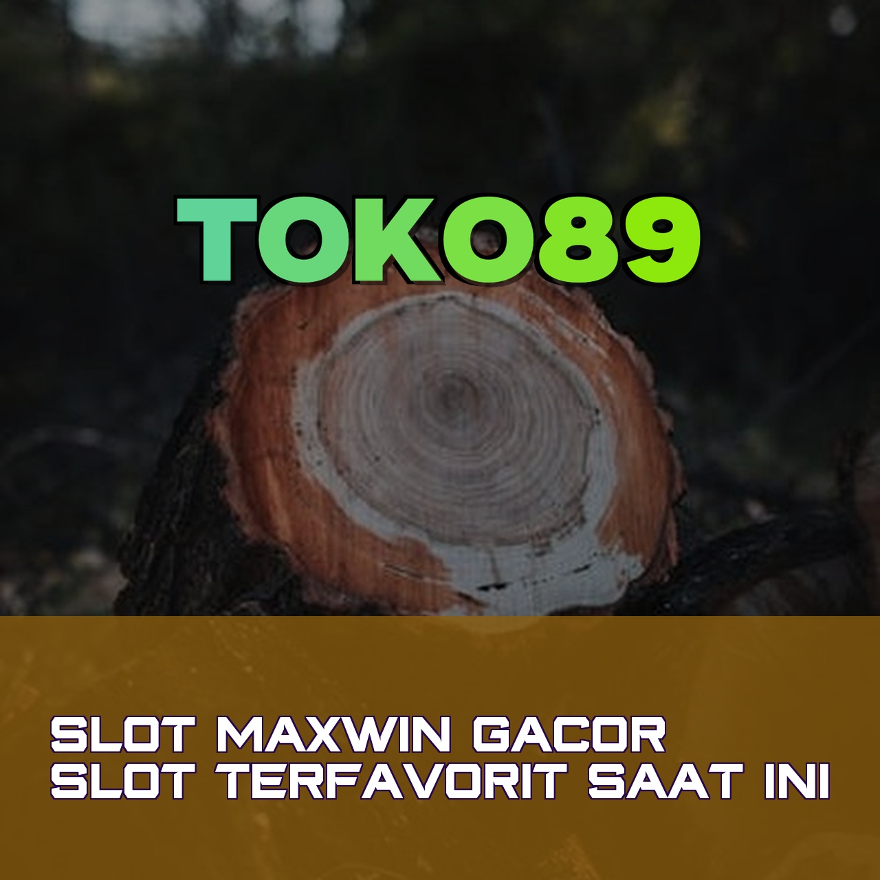 TOKO89