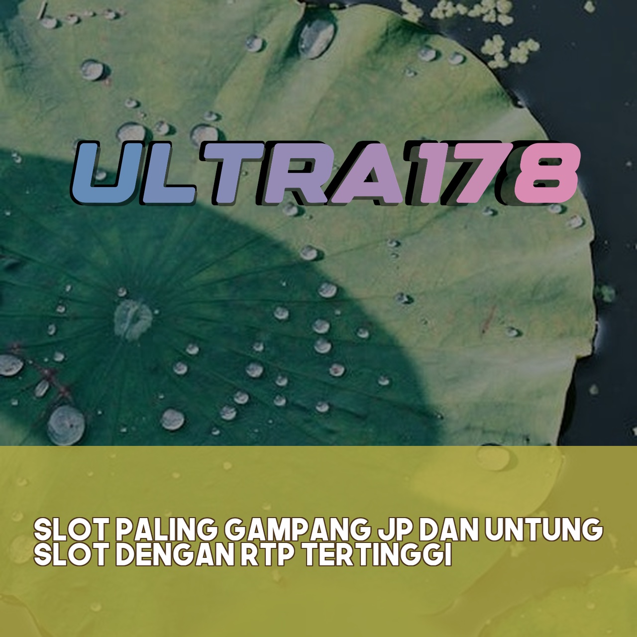 ULTRA178