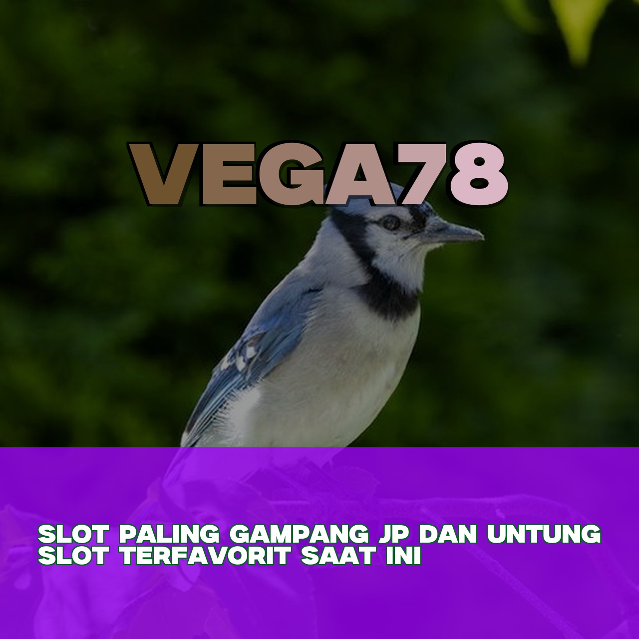 VEGA78