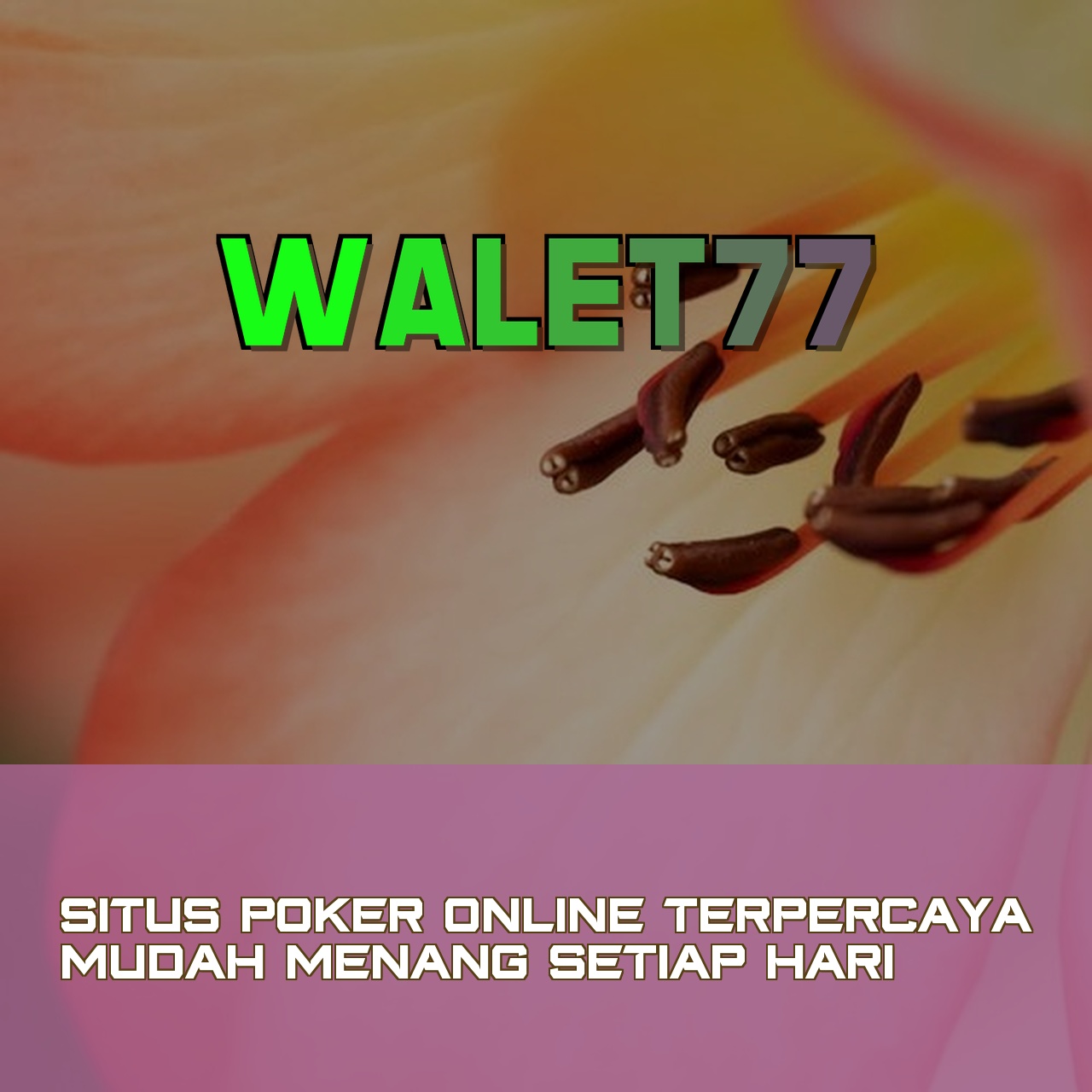 WALET77